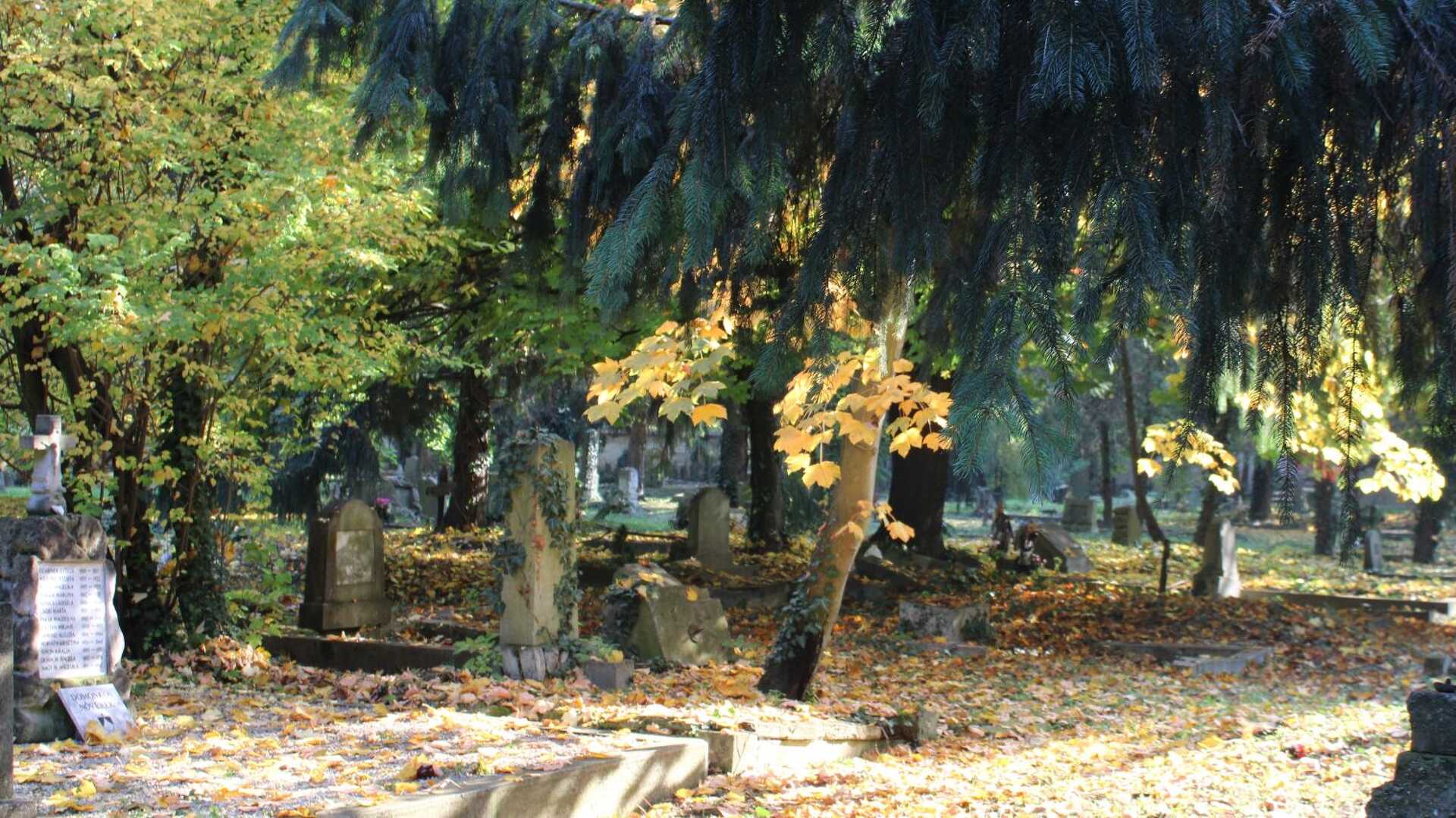 A szombathelyi Szent Márton temető