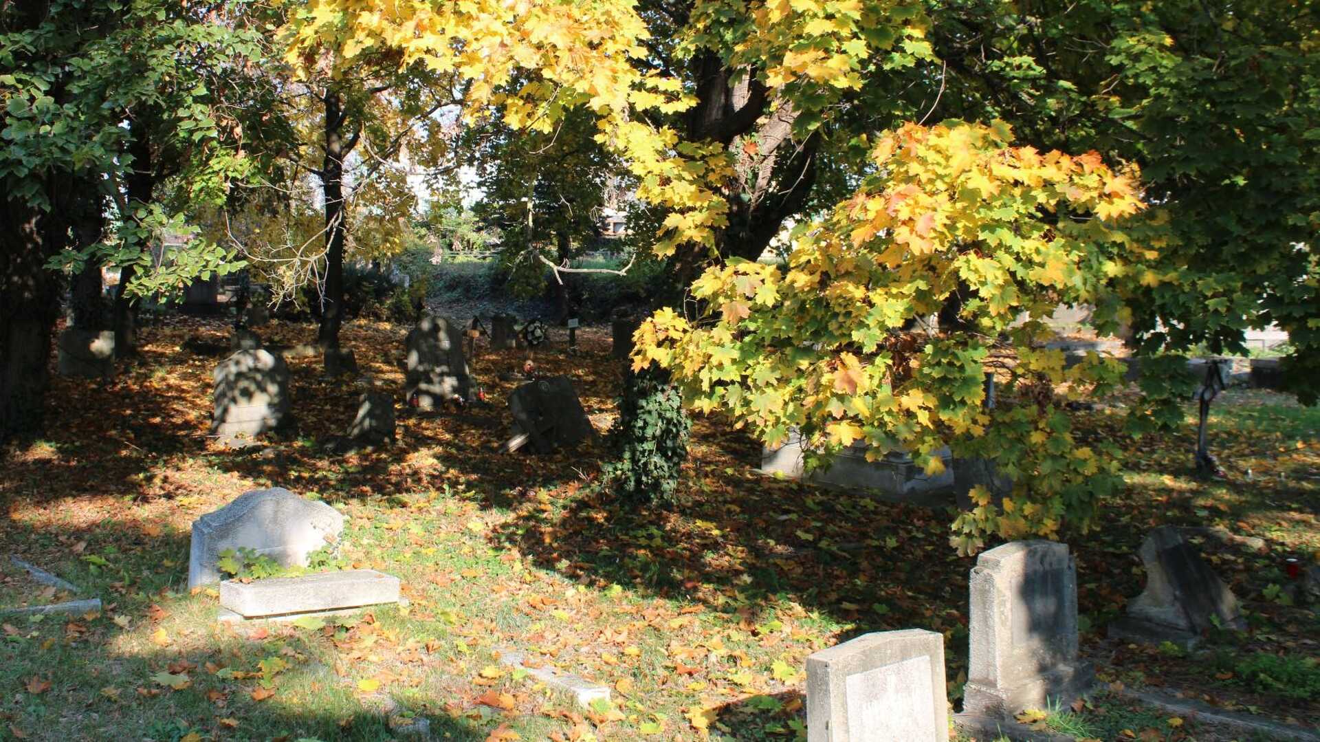 A szombathelyi Szent Márton temető