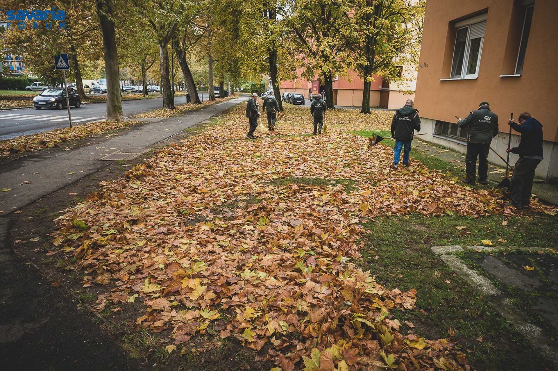 Komplex takarítás a Váci Mihály utcában