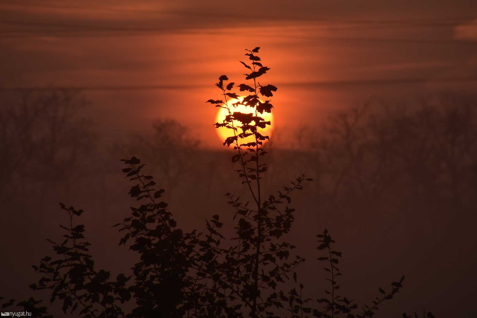 Ködös napkelte november 16-án Szombathely határában