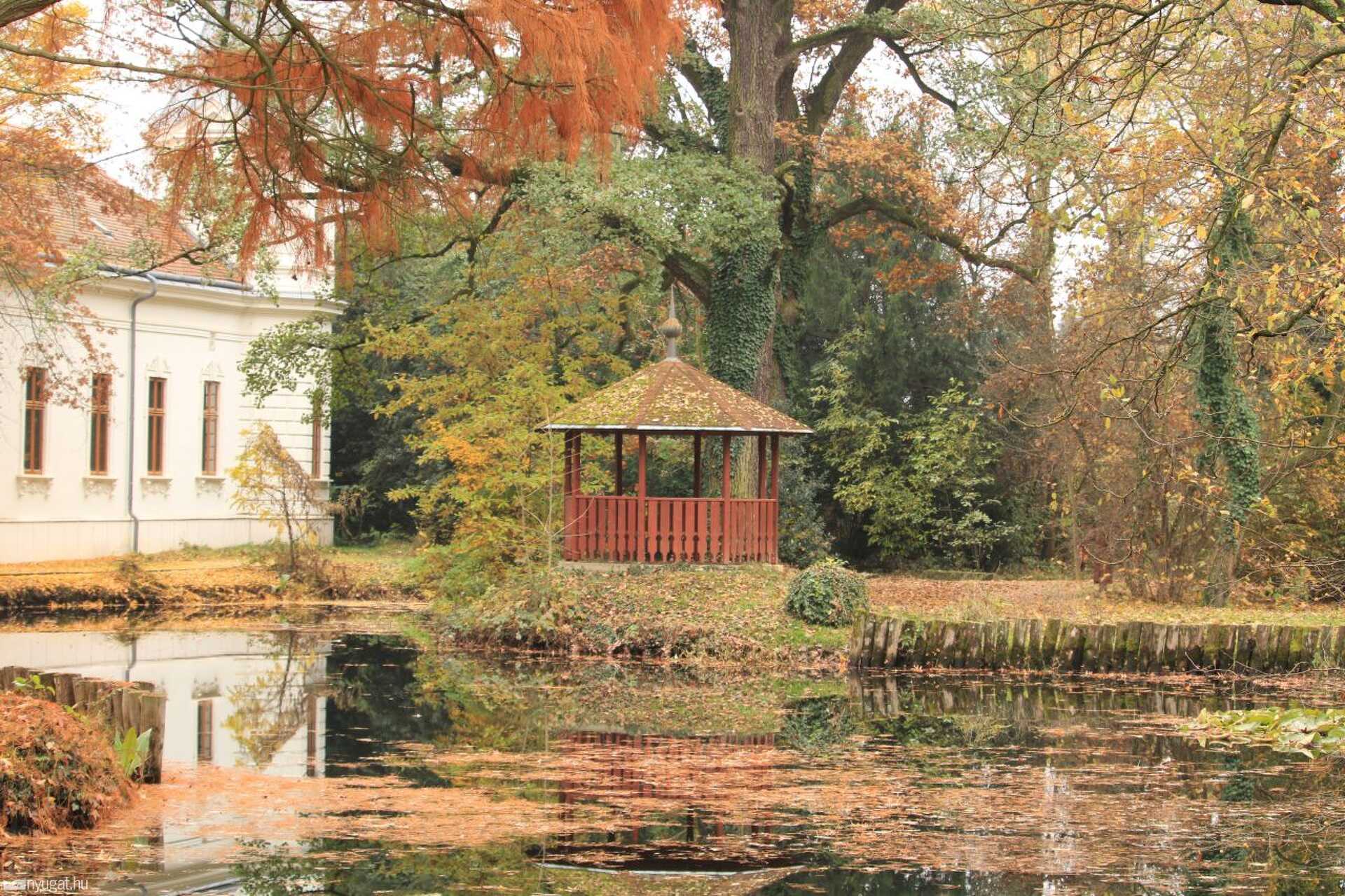 November, erdő, ősz