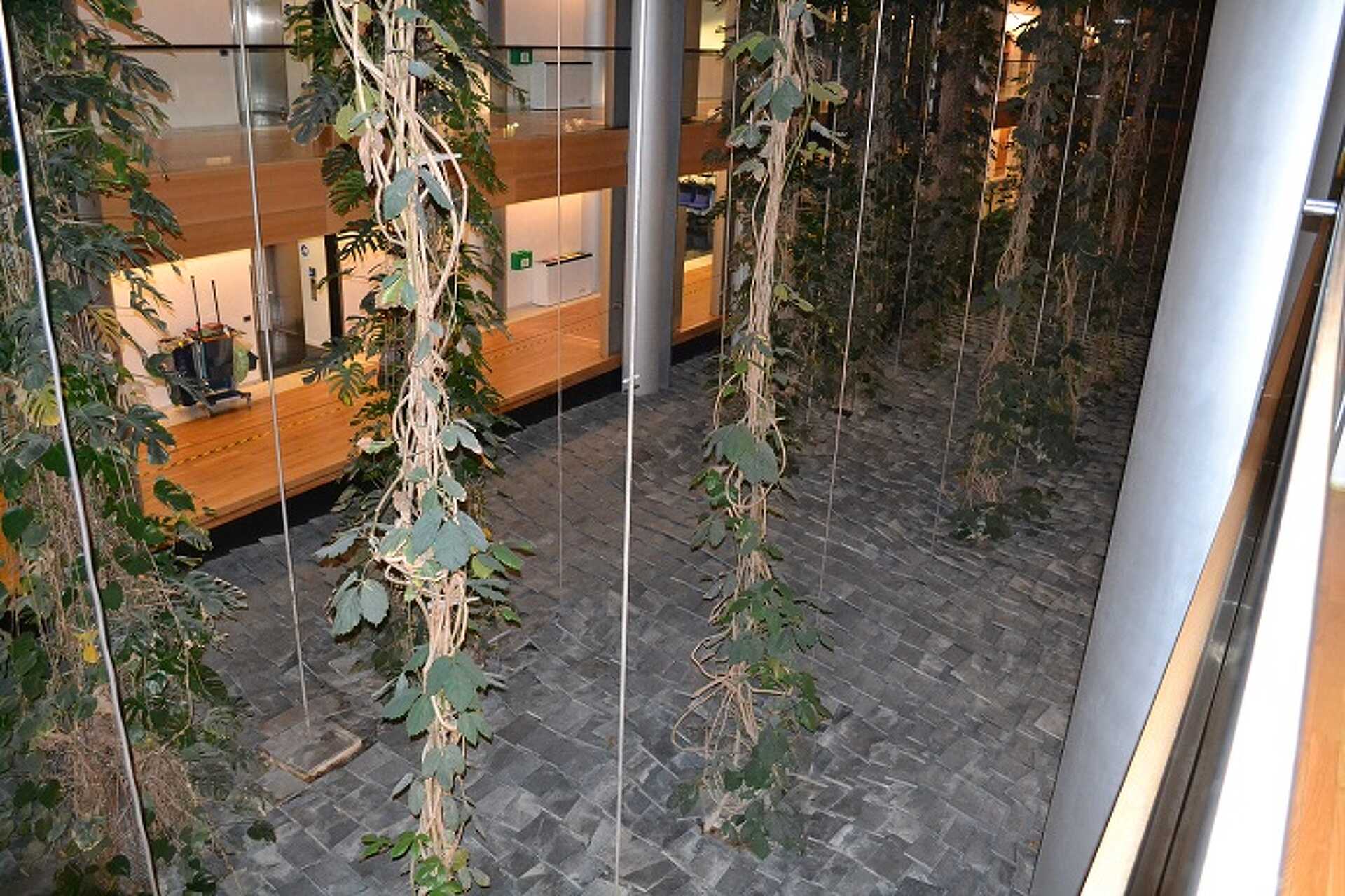Európa Parlament képek 