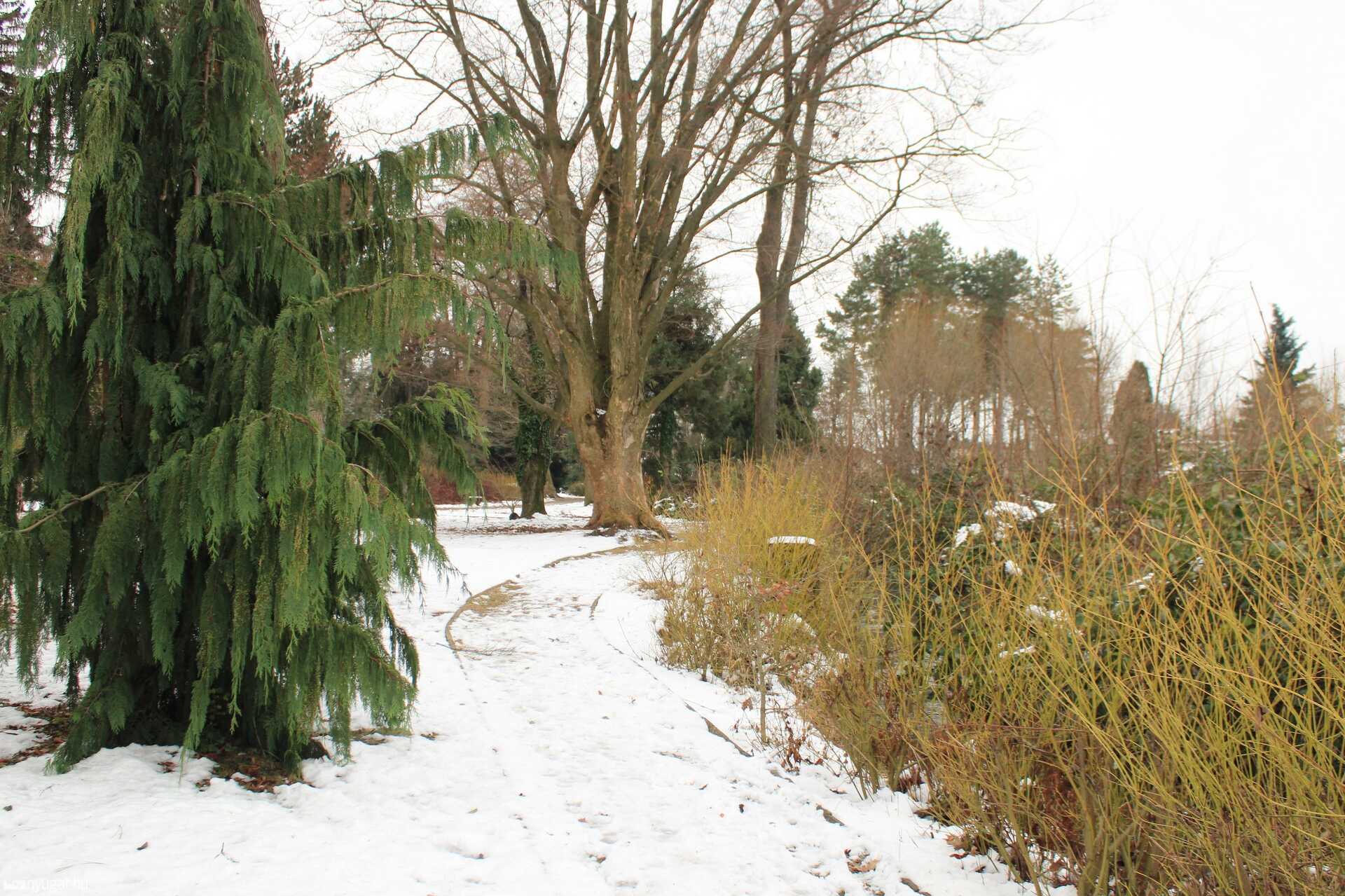 2021 utolsó sétája a Kámoni Arborétumban
