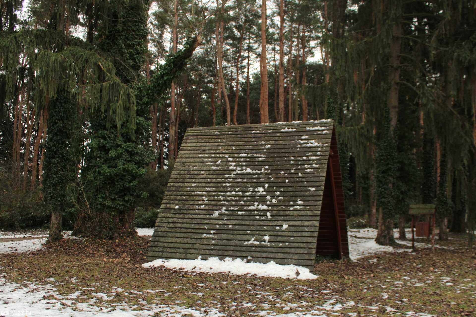 2021 utolsó sétája a Kámoni Arborétumban