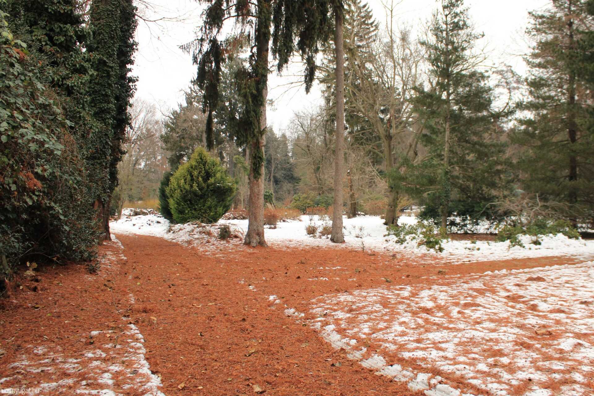 2021 utolsó sétája a Kámoni Arborétumban