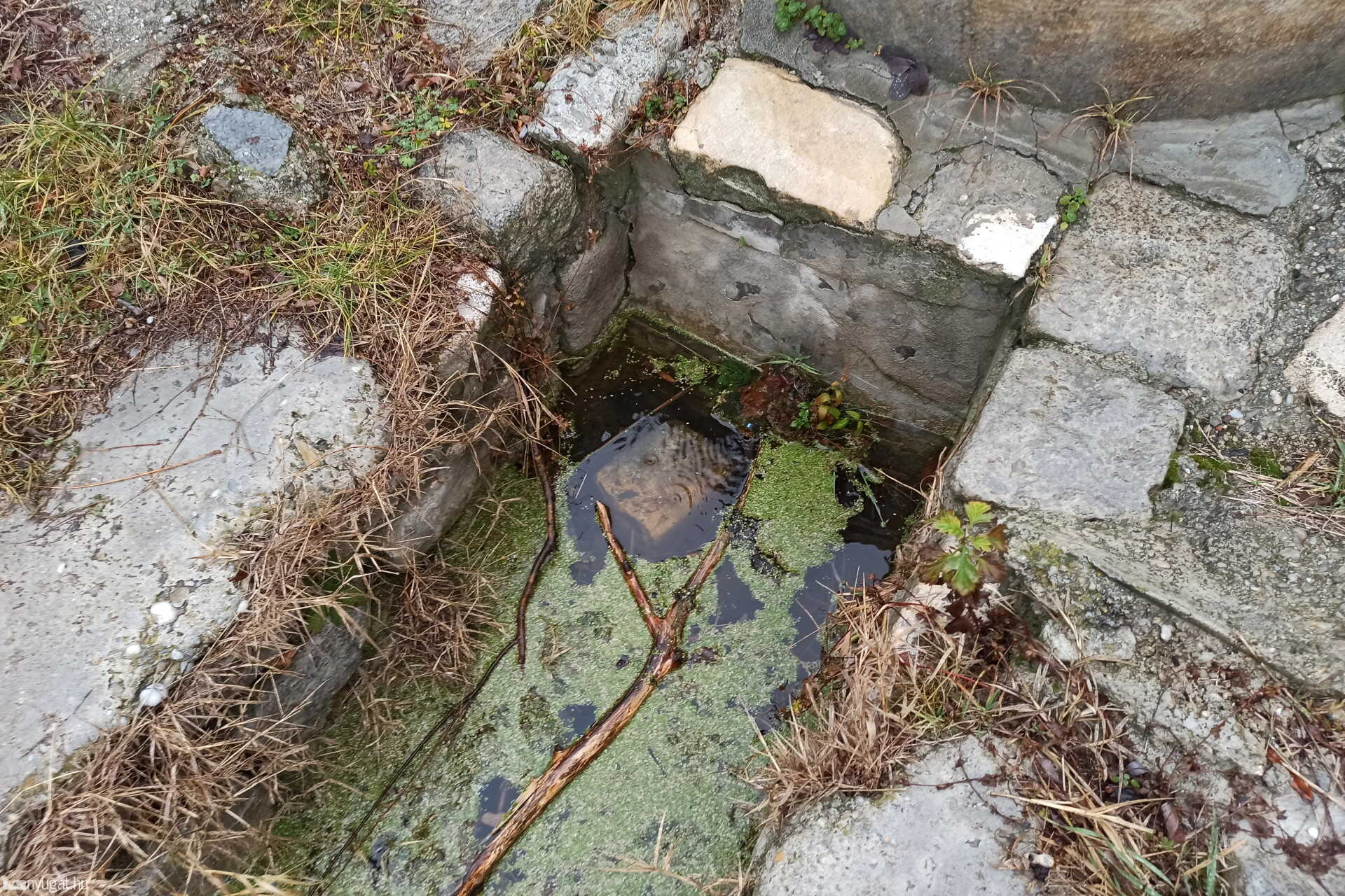 Ömlik a víz a régi kútból Balfon