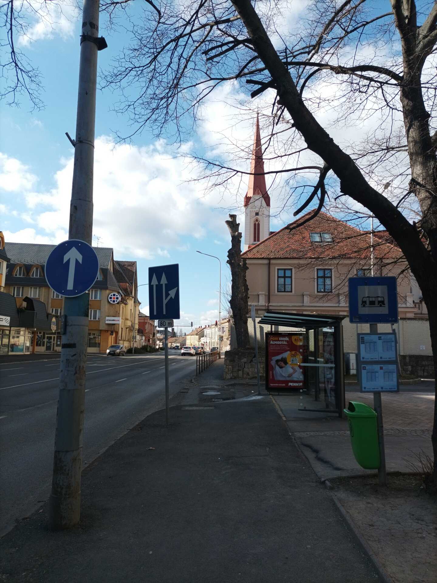 Megcsonkították Szombathelyen a Petőfi utca két gyöngyörű nagy fáját