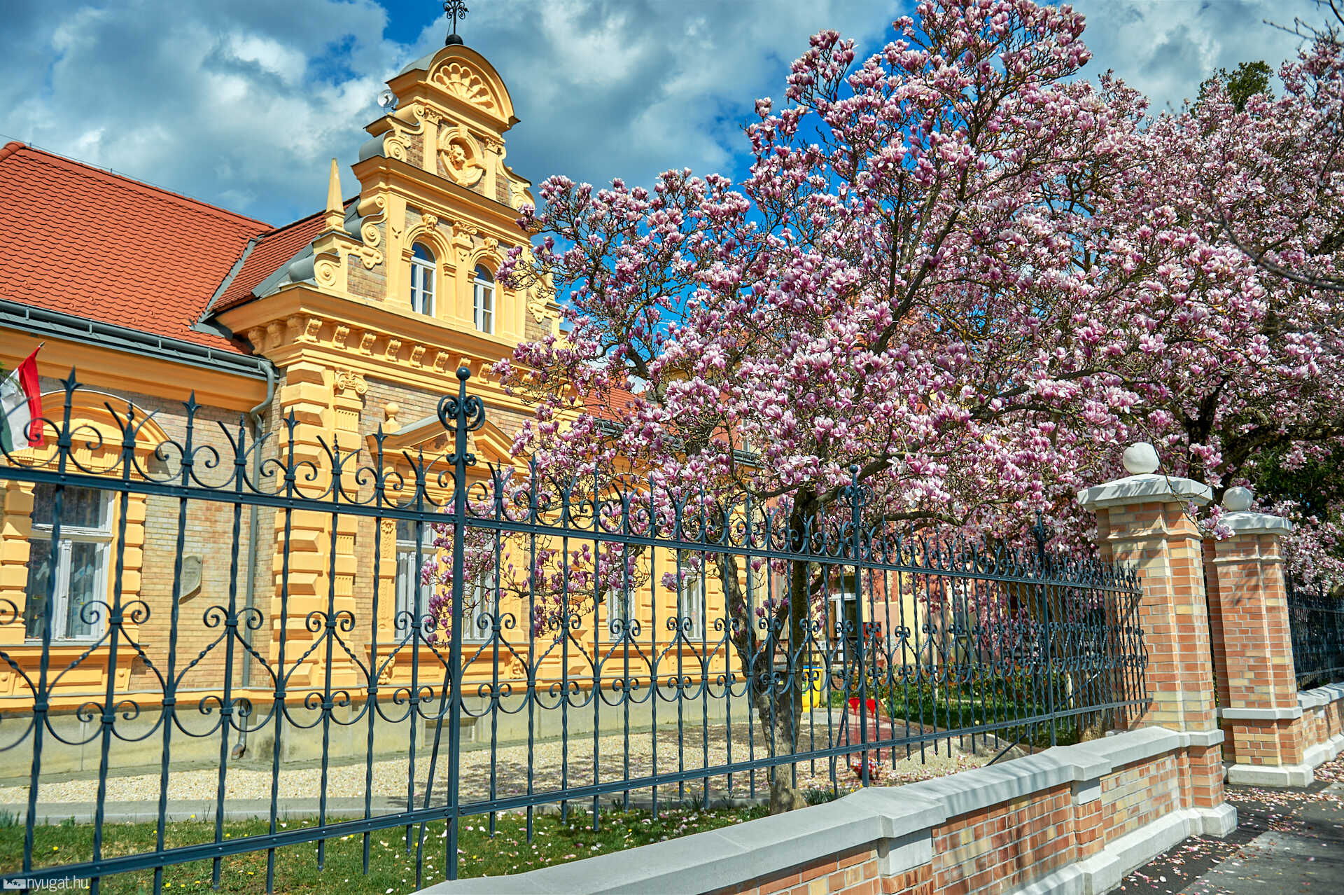 Tulipánfa a Gagarin úton