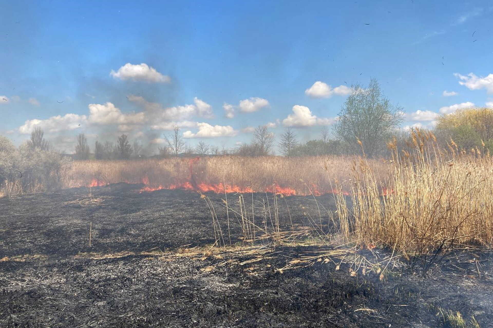Lángolt a nádas az osztrák-magyar határon