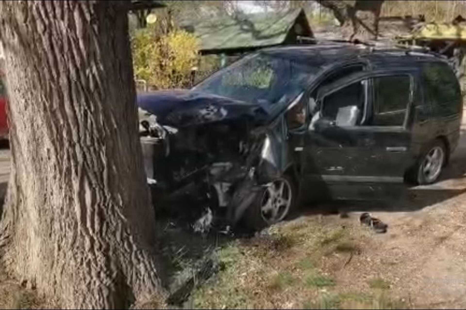 Fának hajtott egy autó a parkerdőnél