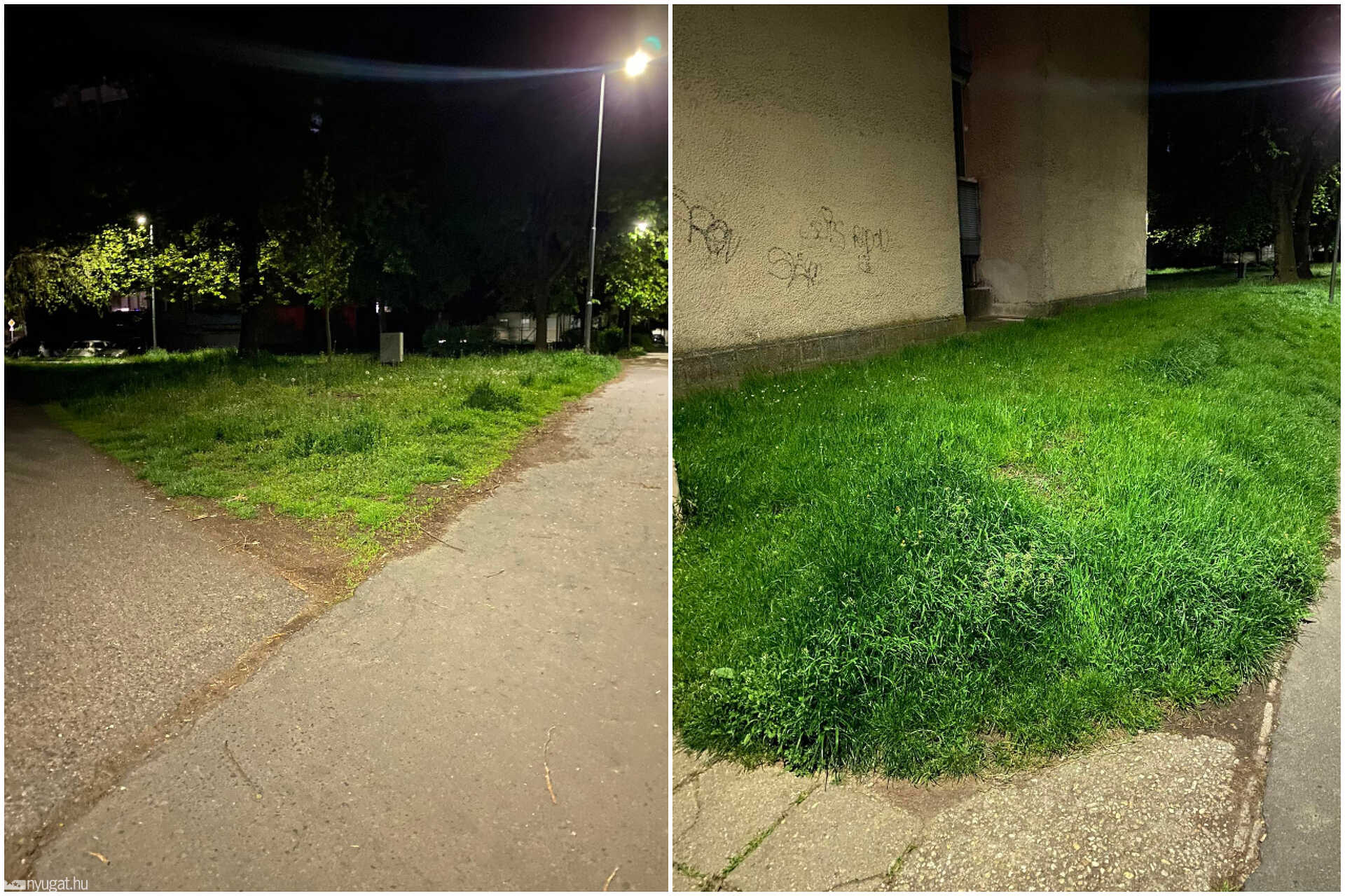 Nagy a fű a Pázmány Péter körúton Szombathelyen