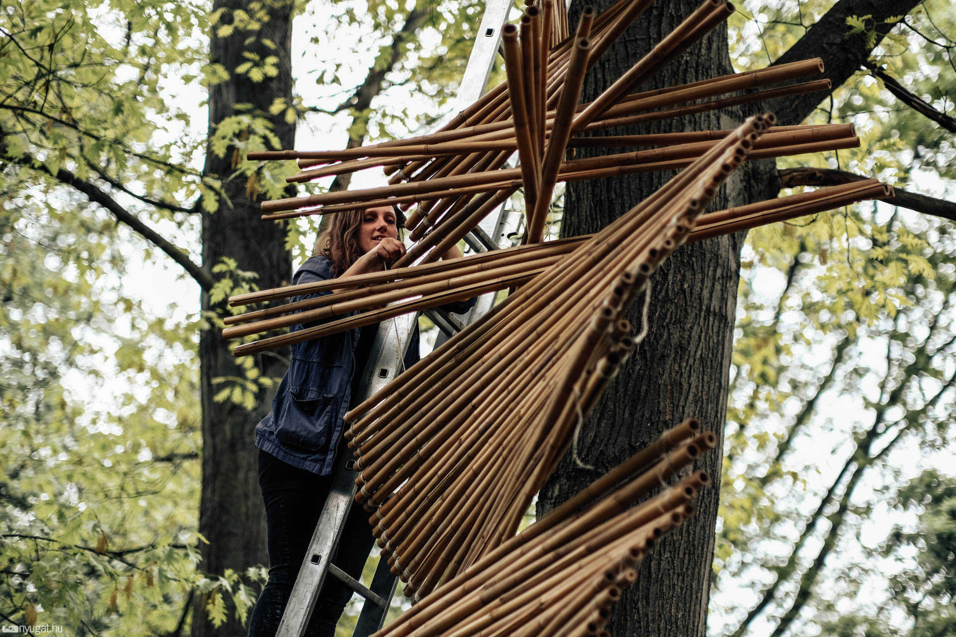 Természet és művészet - Kiállítás az Arborétumban