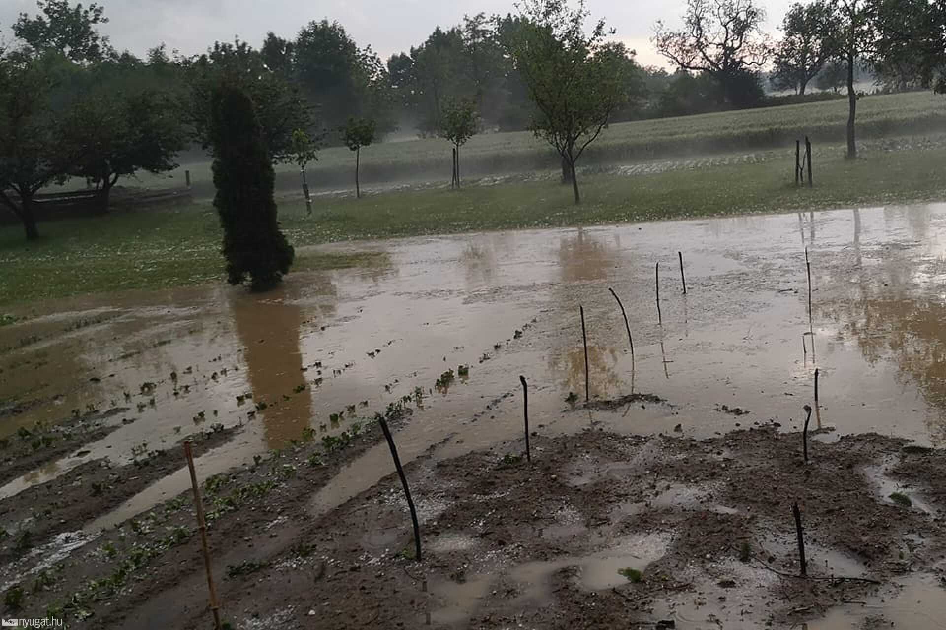 A veteményeseket is elverte a vihar