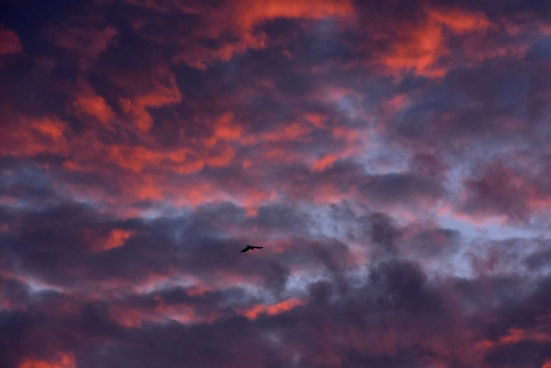 Gyönyörű, izzó napkelte Szombathelyen 08.15-én