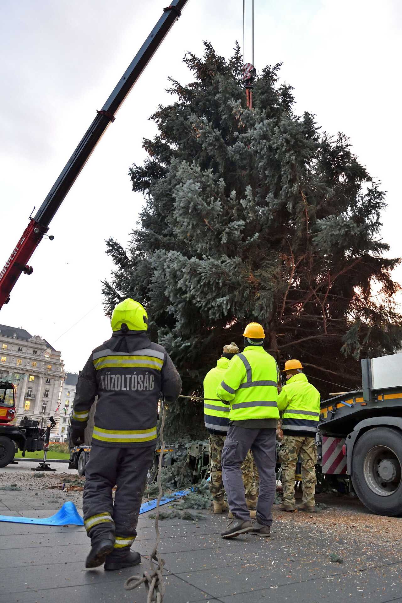 Felállították az ország karácsonyfáját az Országház előtt