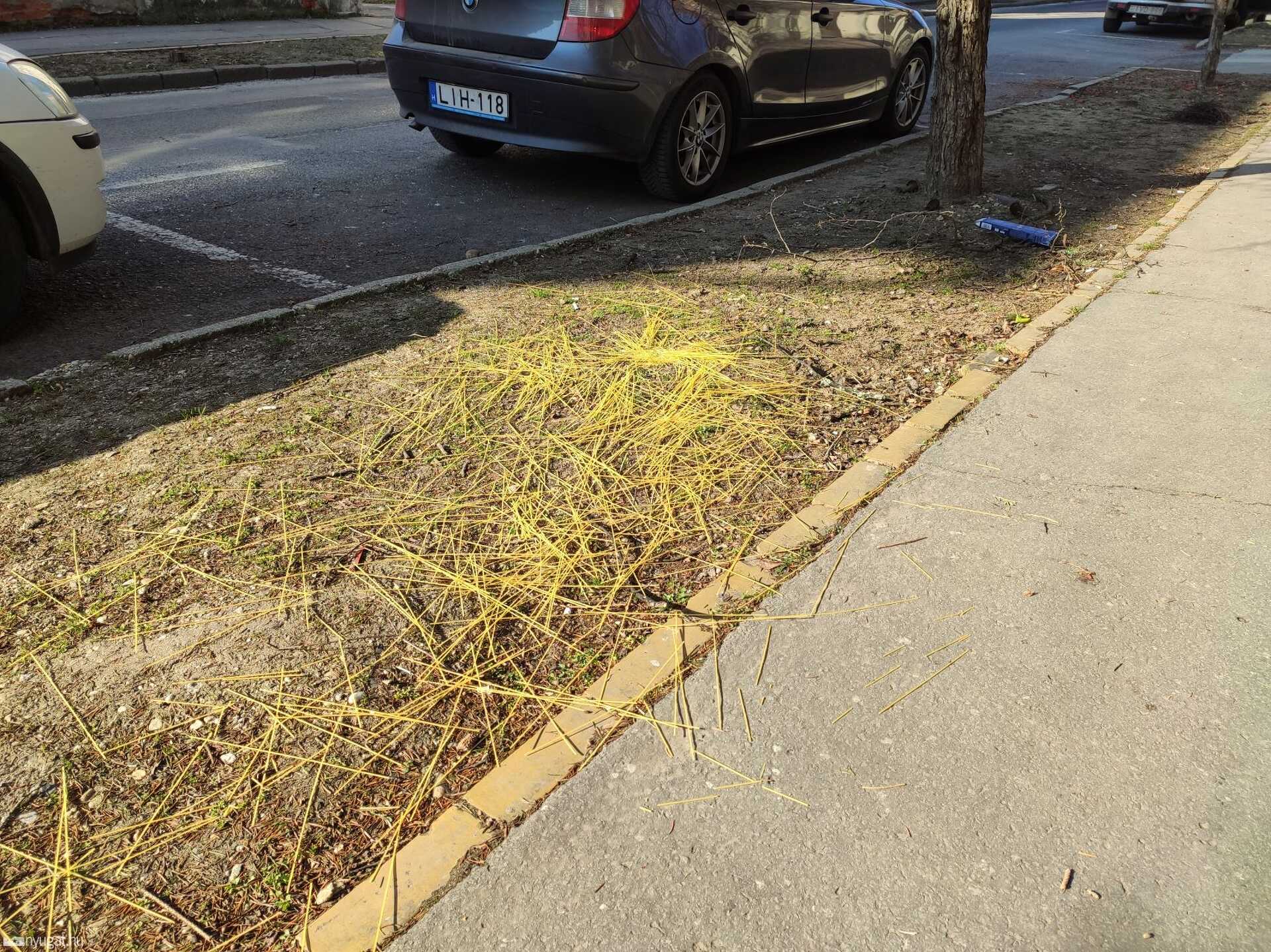 Szétszórt tészta a Wesselényi utcában