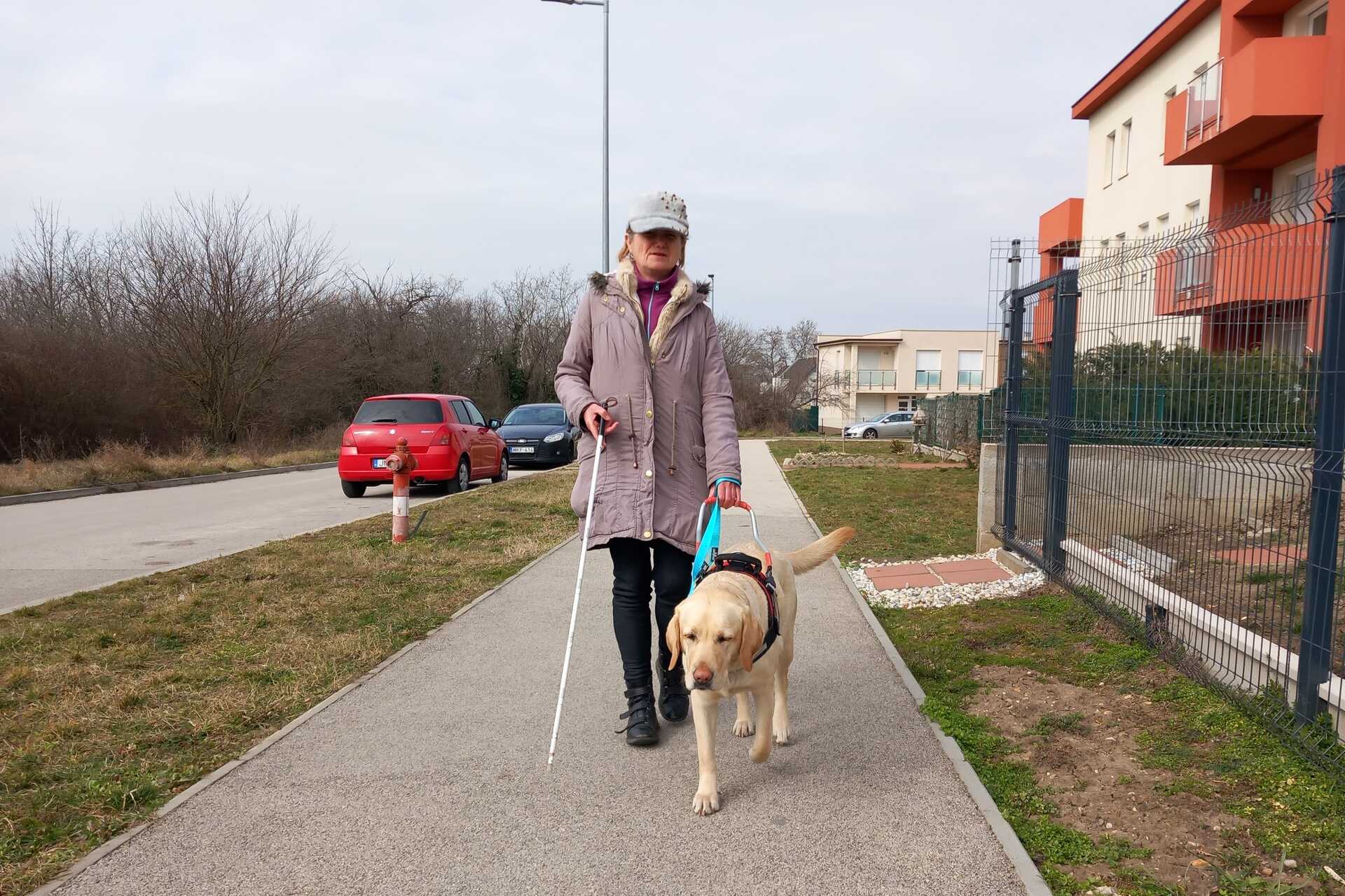 Megtámadták Szávát, a vakvezető kutyát Győrben