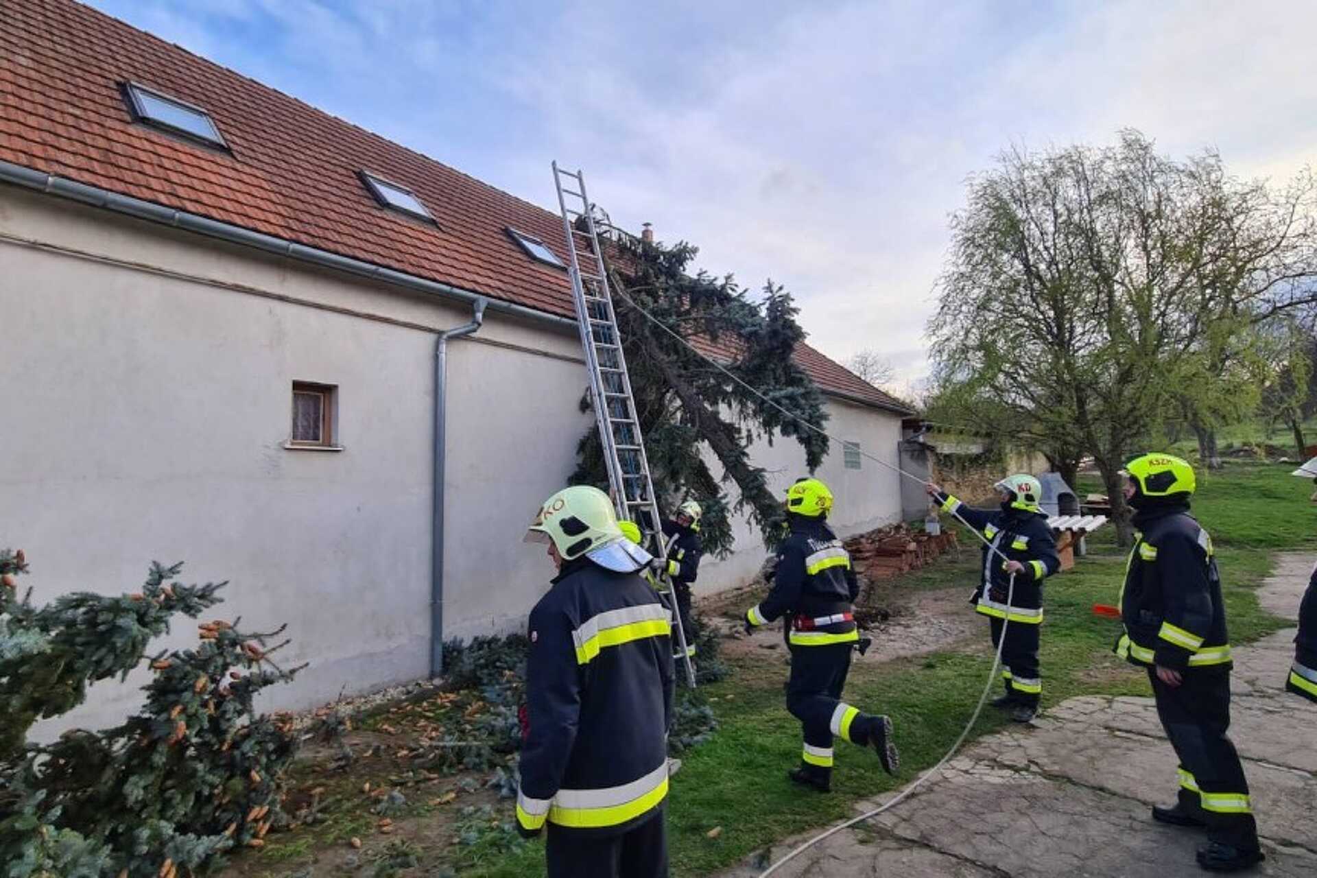 Szomszéd ház tetejére dőlt egy fa Kőszegdoroszlón