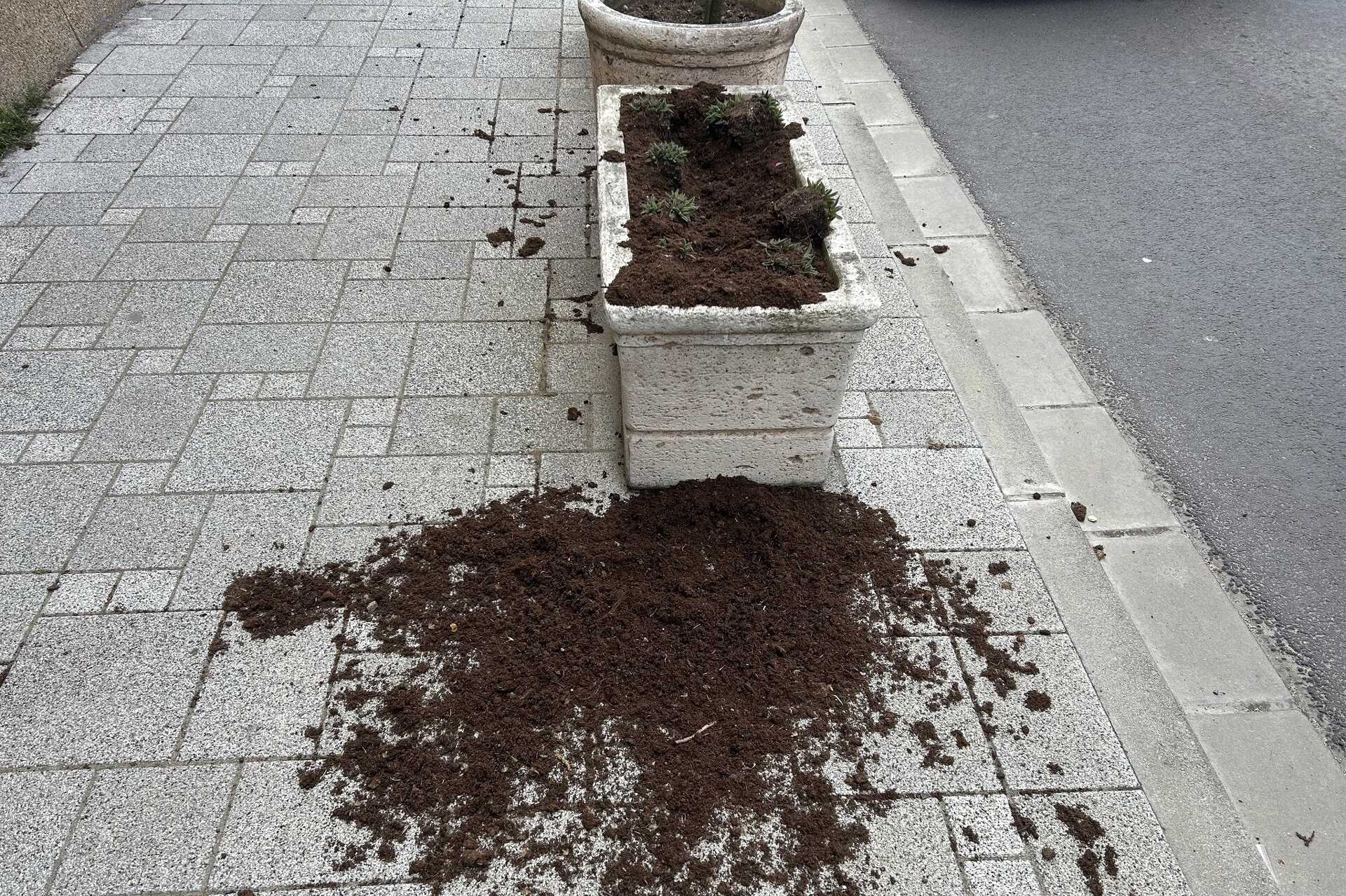 Szétbarmolták a virágládákat a Szily János utcában Szombathelyen