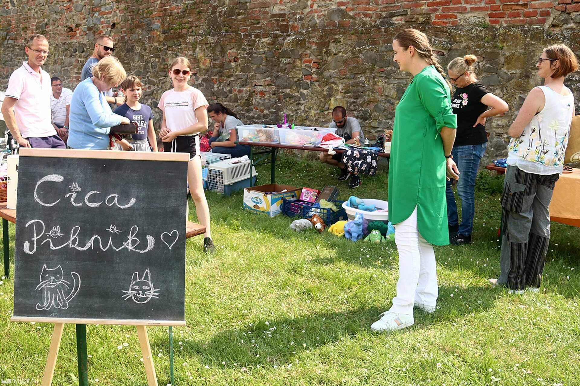 Cica piknik Sárváron