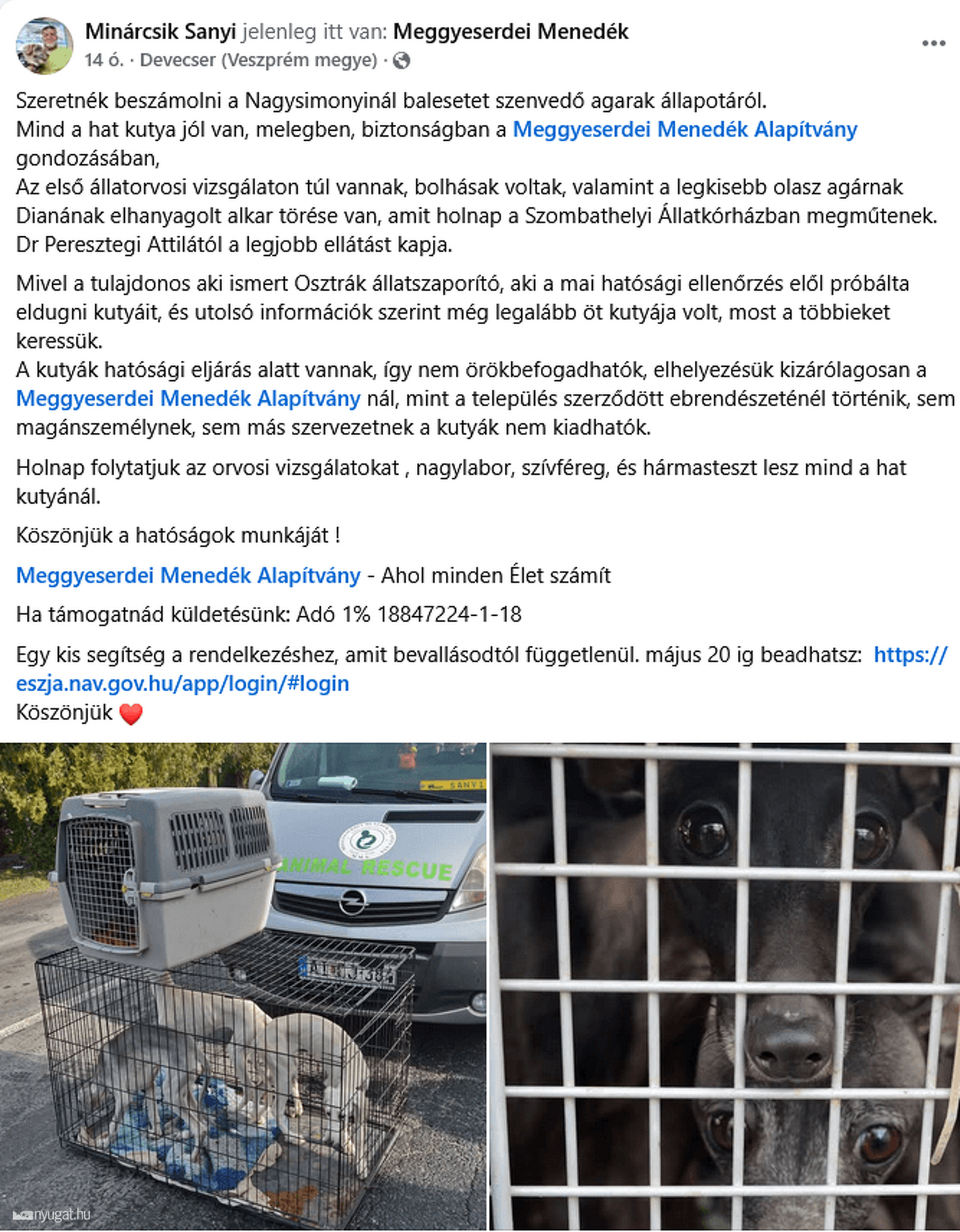 Meggyeserdei Menedék