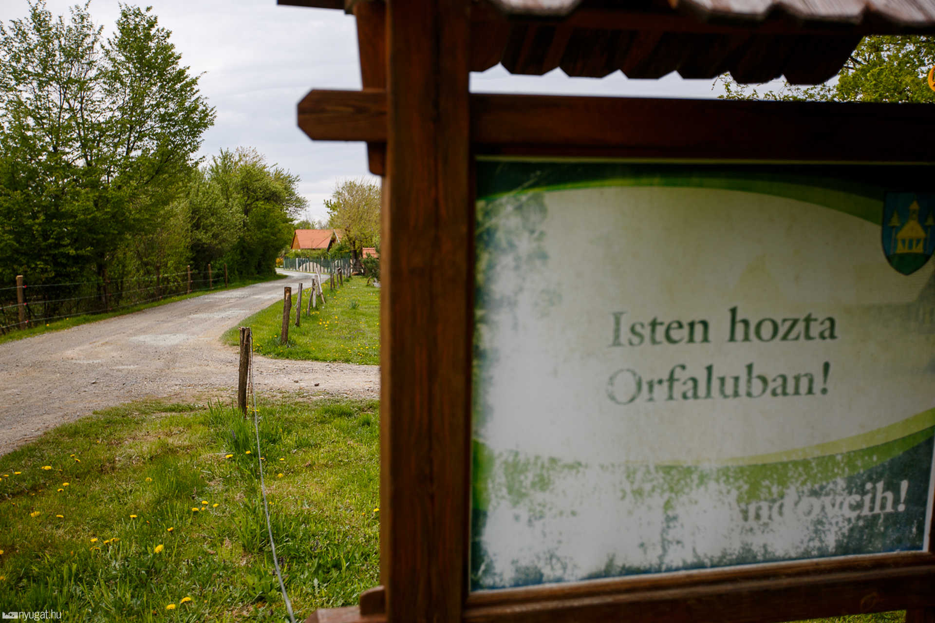 Orfalu