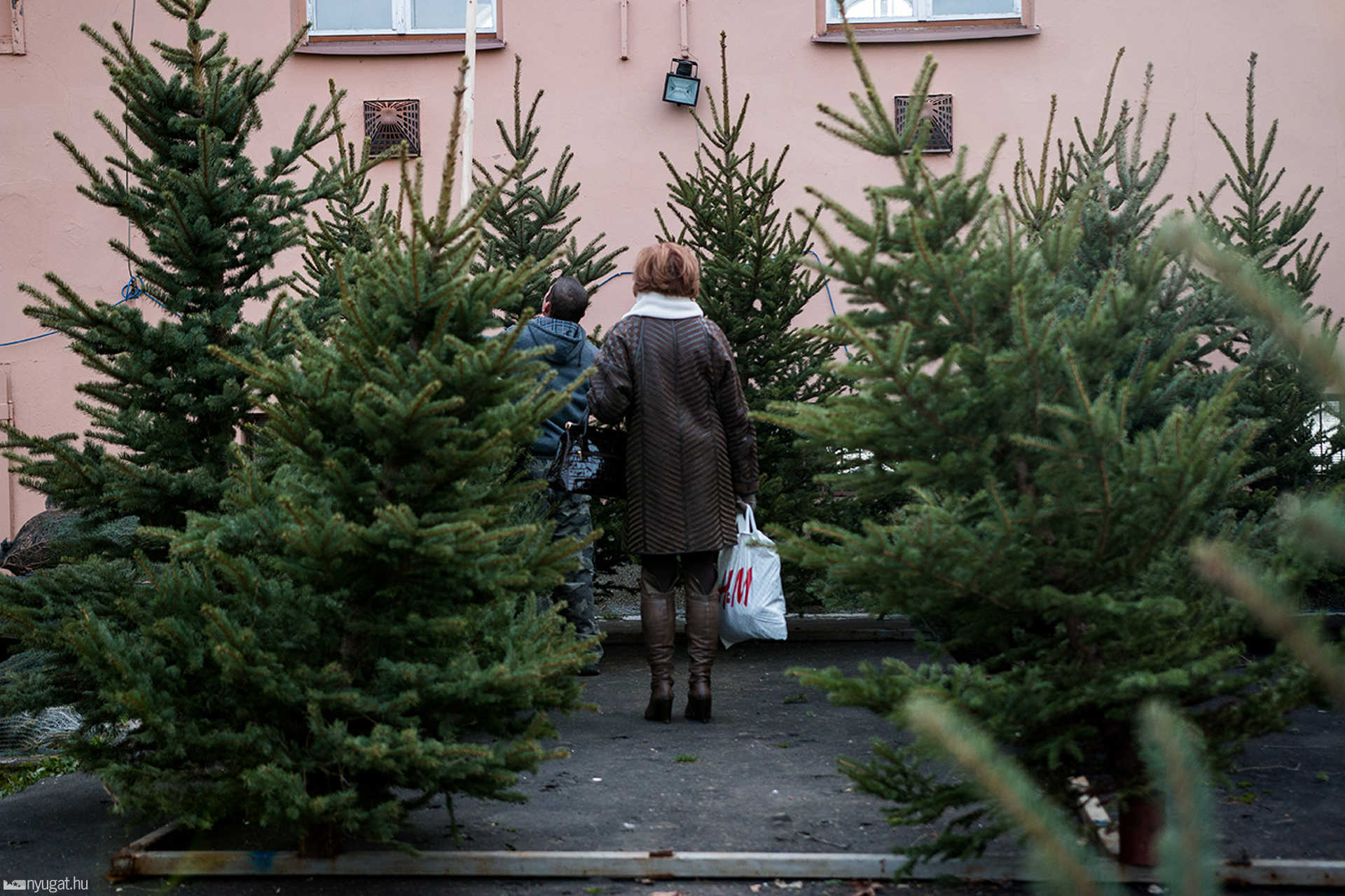 Fenyőfavásár a régi strandon