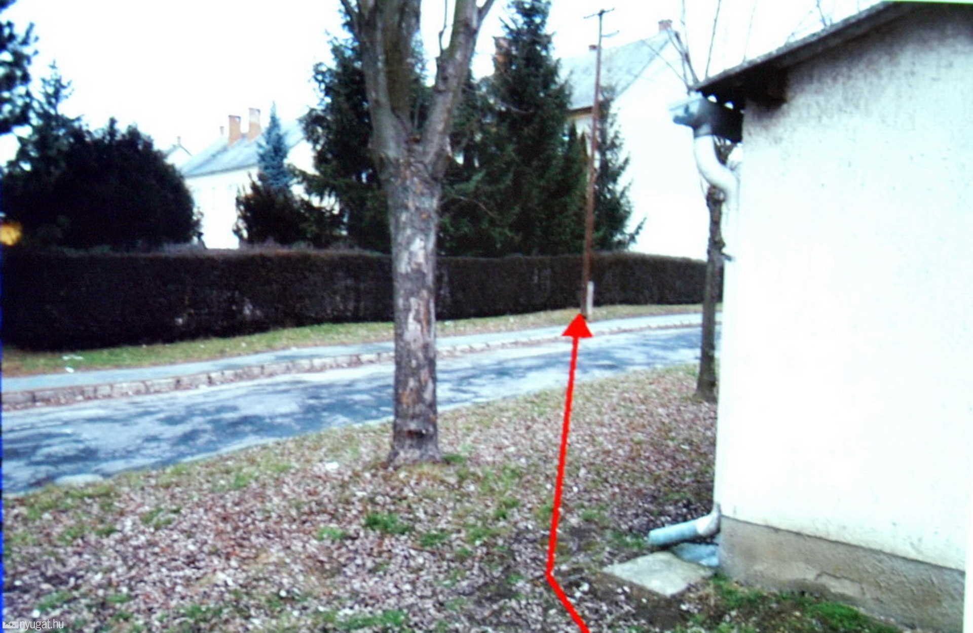 A luminollal az oszlopig tudták követni a vérnyomot