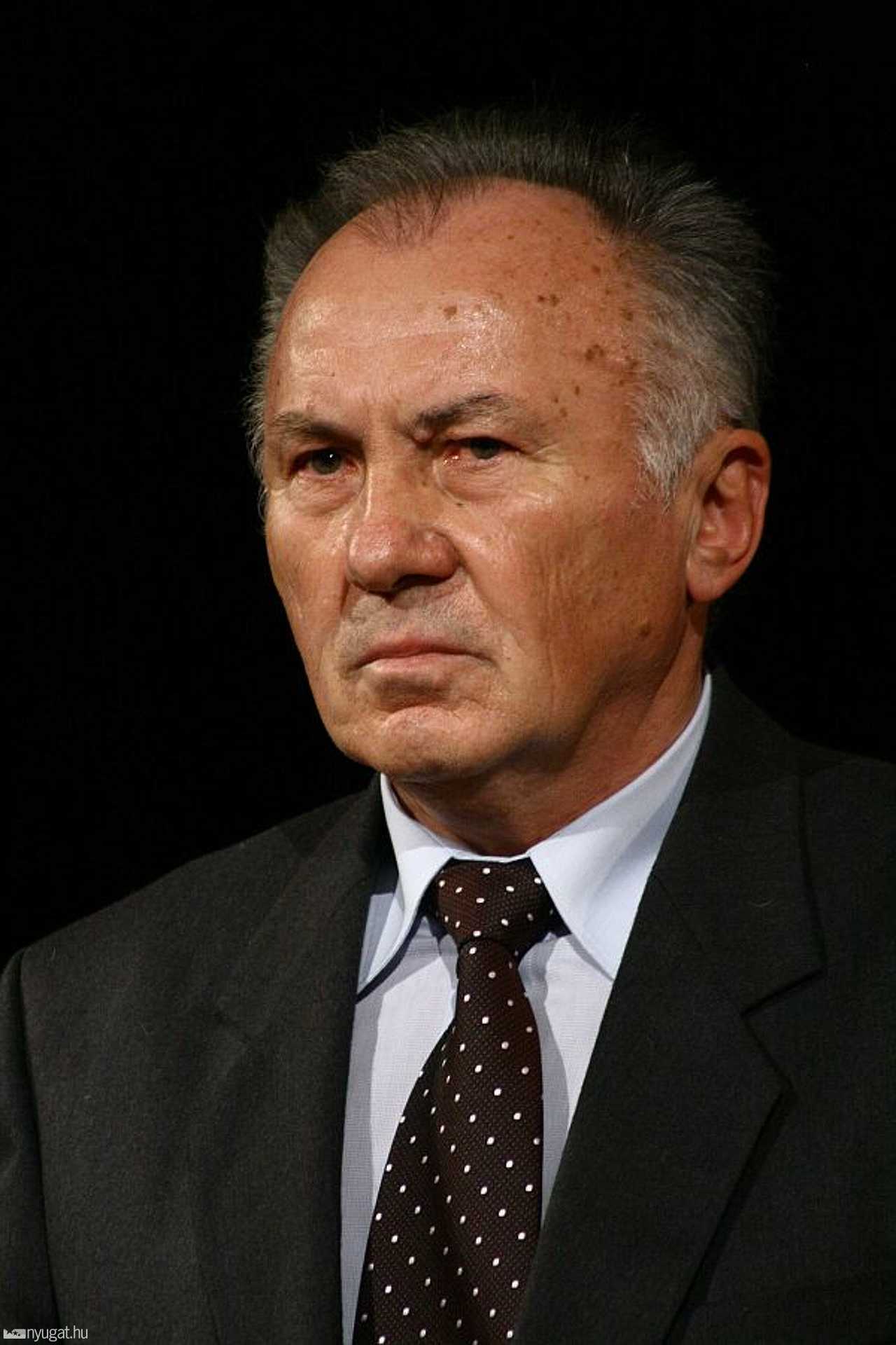 Mihály Győző