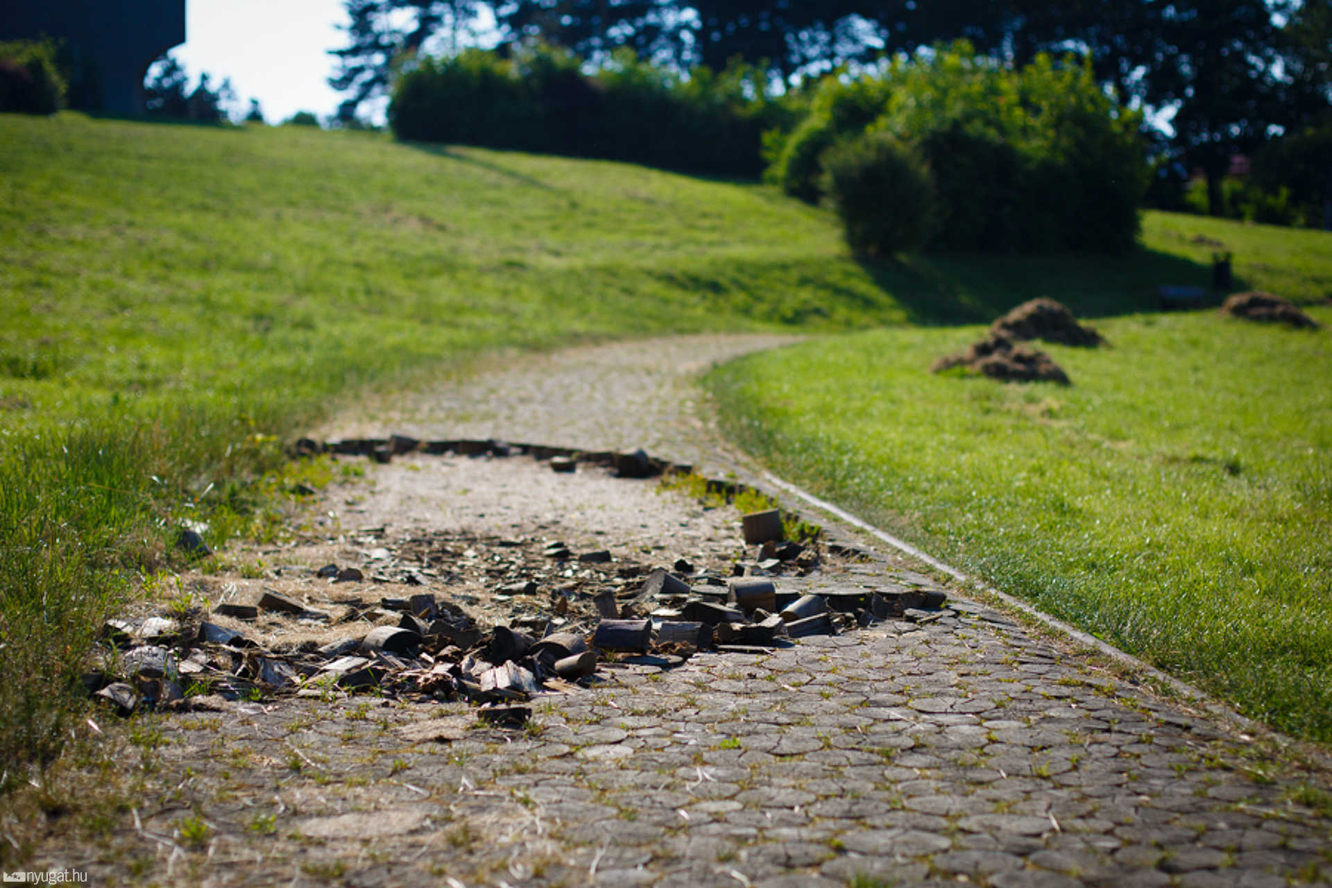 Szabaduló-művész térkockák