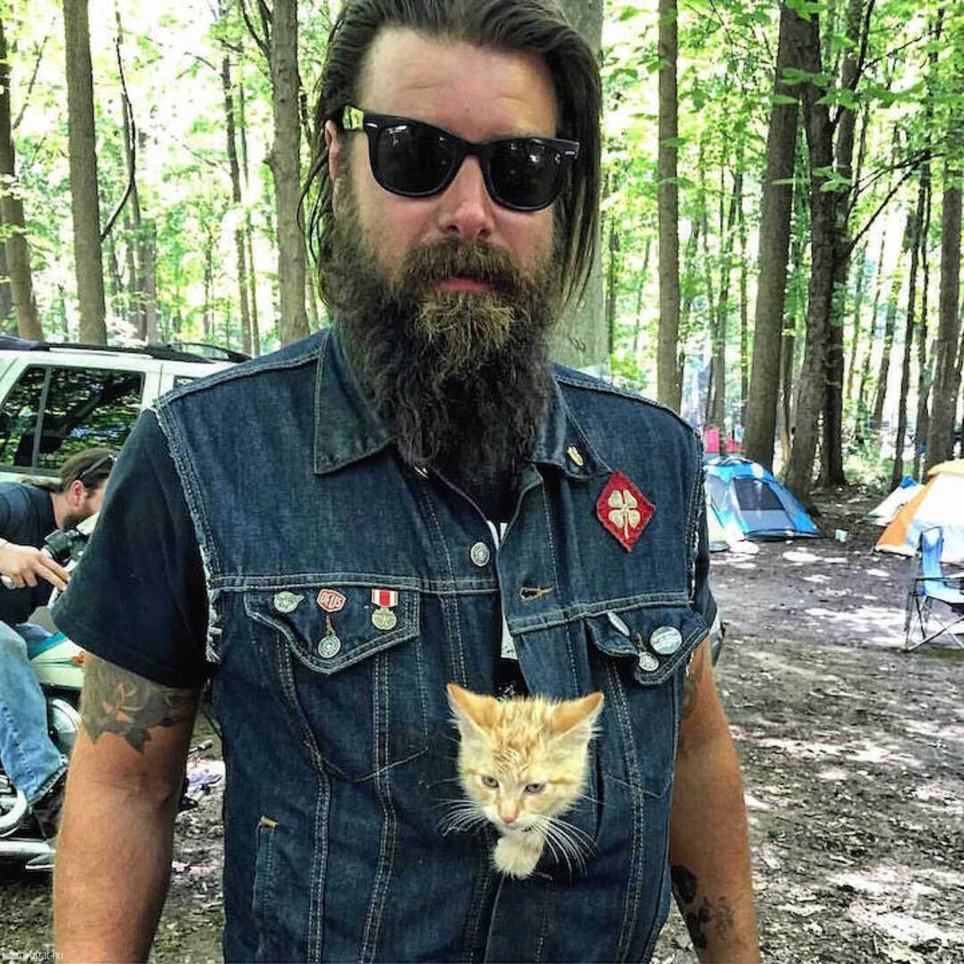 Pat Doody és Party Cat kalandjai