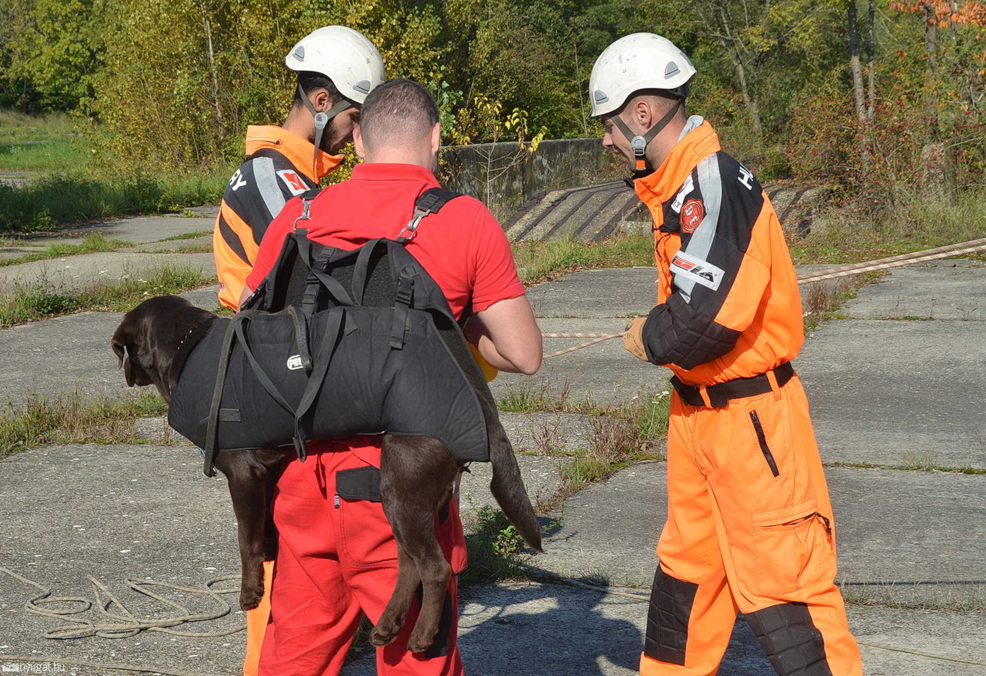 Keresőkutyás képzés Szombathelyen a Spider és a Borostyánkő Mentőcsoporttal
