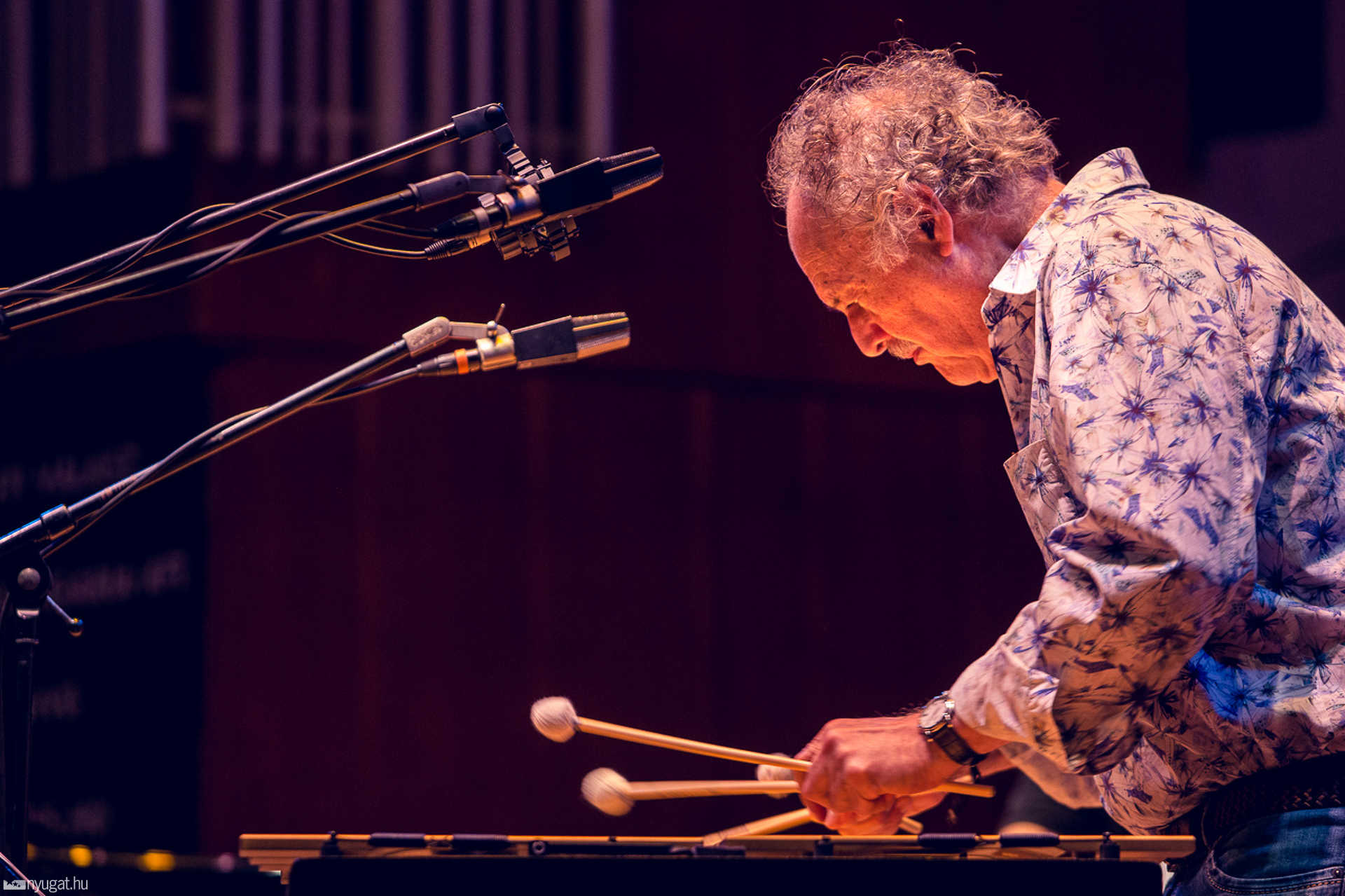 Lamantin Jazz Fesztivál a Bartók Teremben