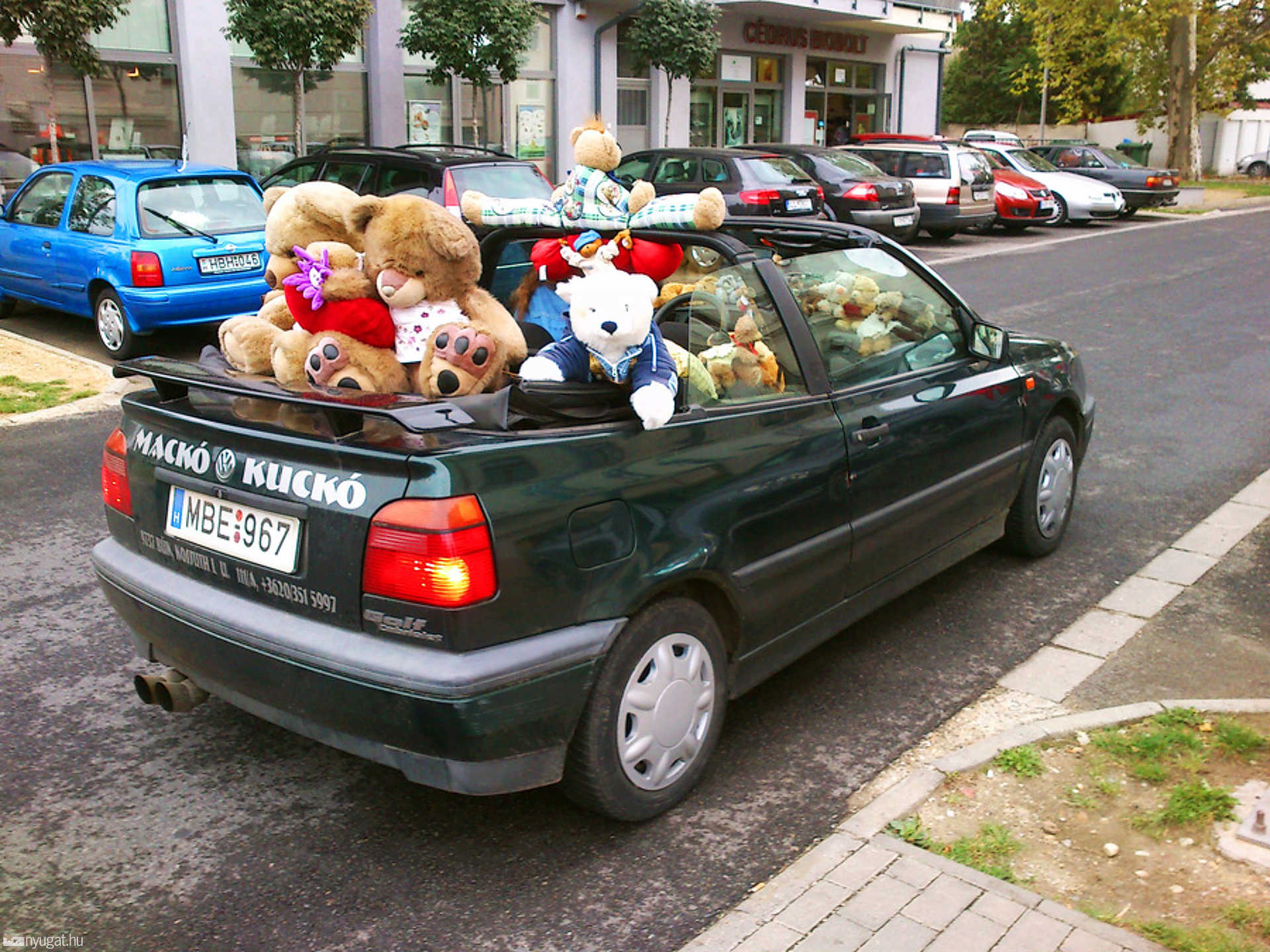 Mackó Kuckó Bükön