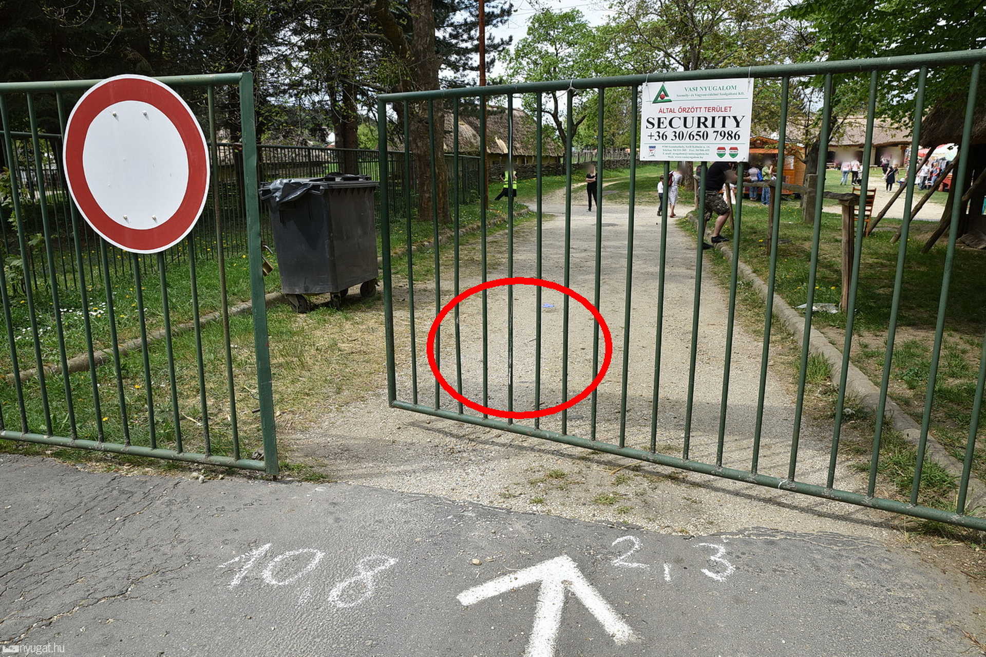 Elsodorta a biztonsági őrt a fának hajtó Suzuki Szombathelyen