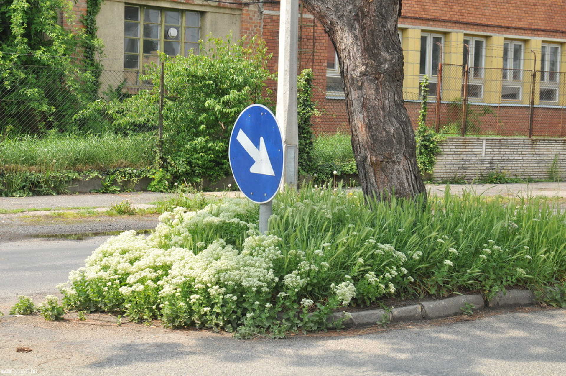 Szombathelyi gaztúra húsvét és május 1. után 