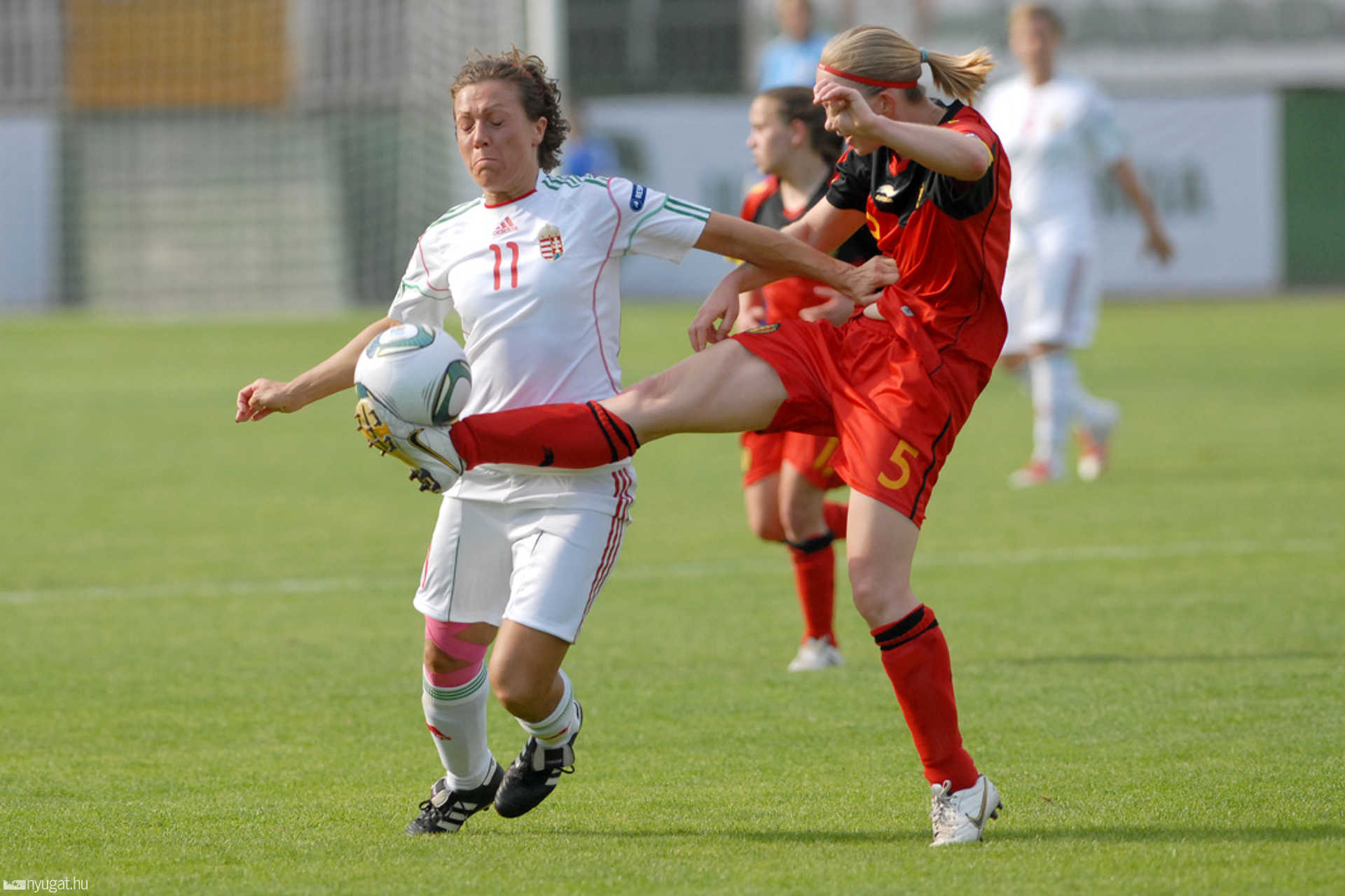 Magyarország - Belgium Eb selejtező mérkőzés