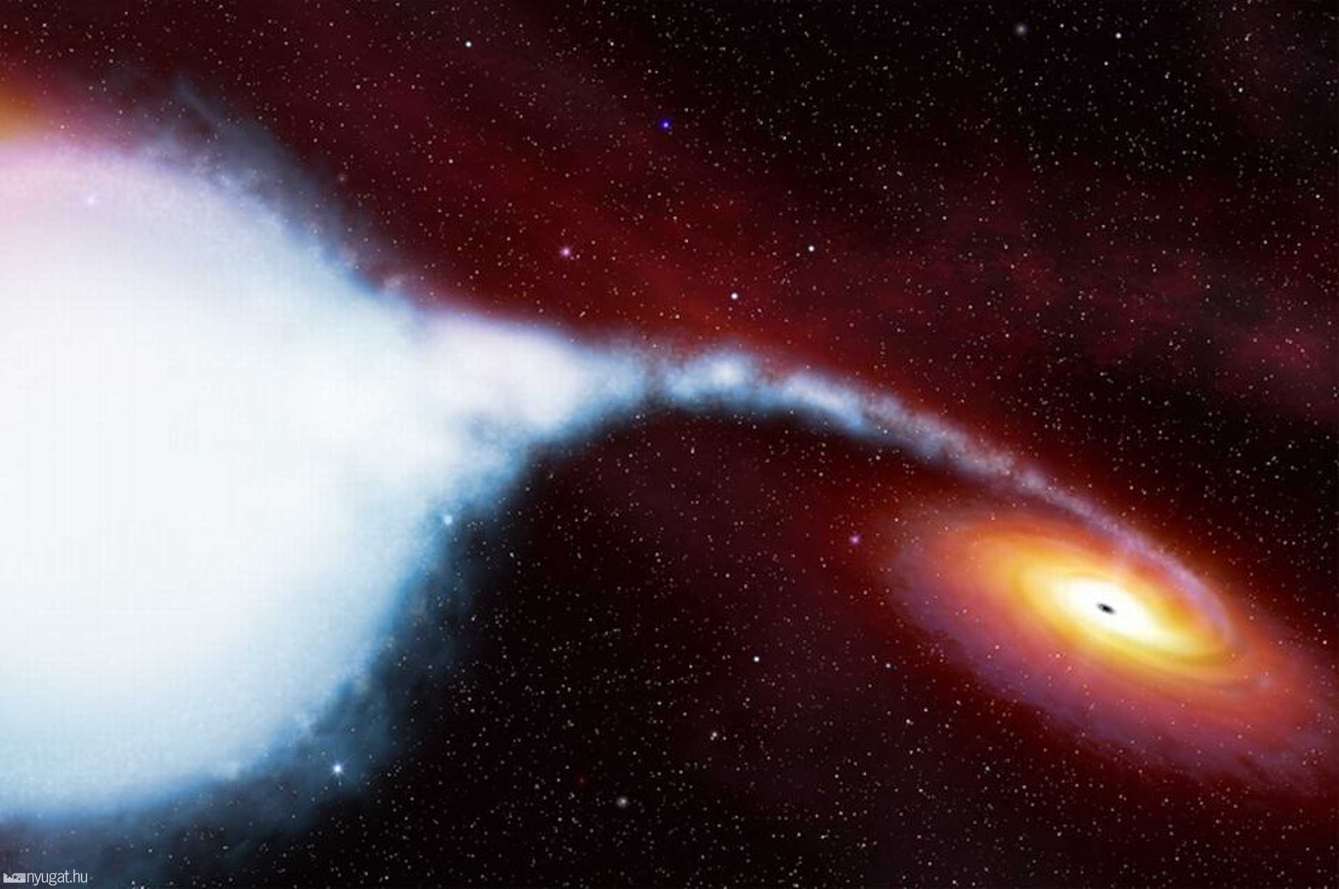 A fantáziaképen a Gynus X-1 jelzésű fekete lyuk éppen magába szív egy csillagot 