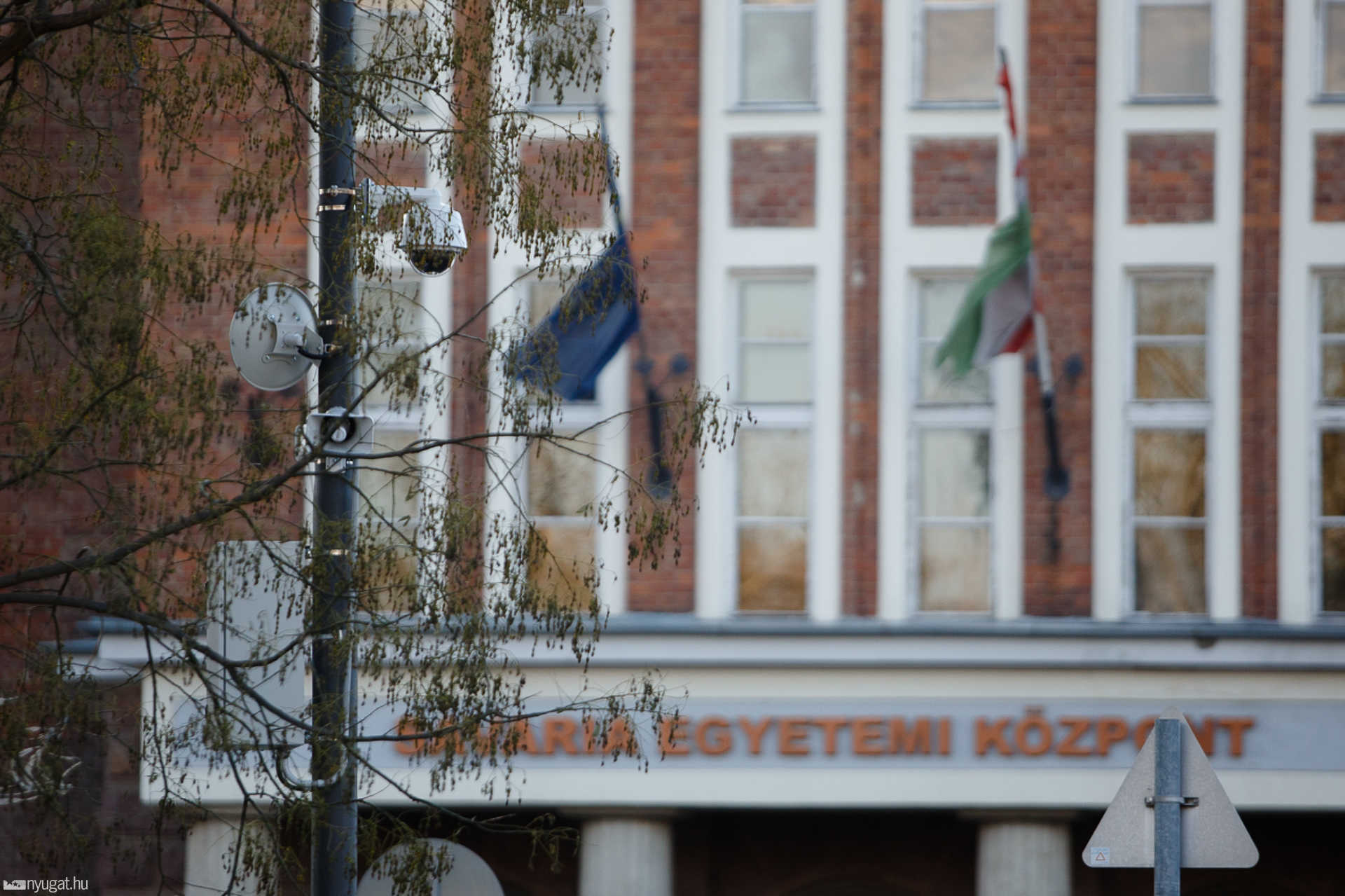 Meggyalázták Weöres Sándor szobrát