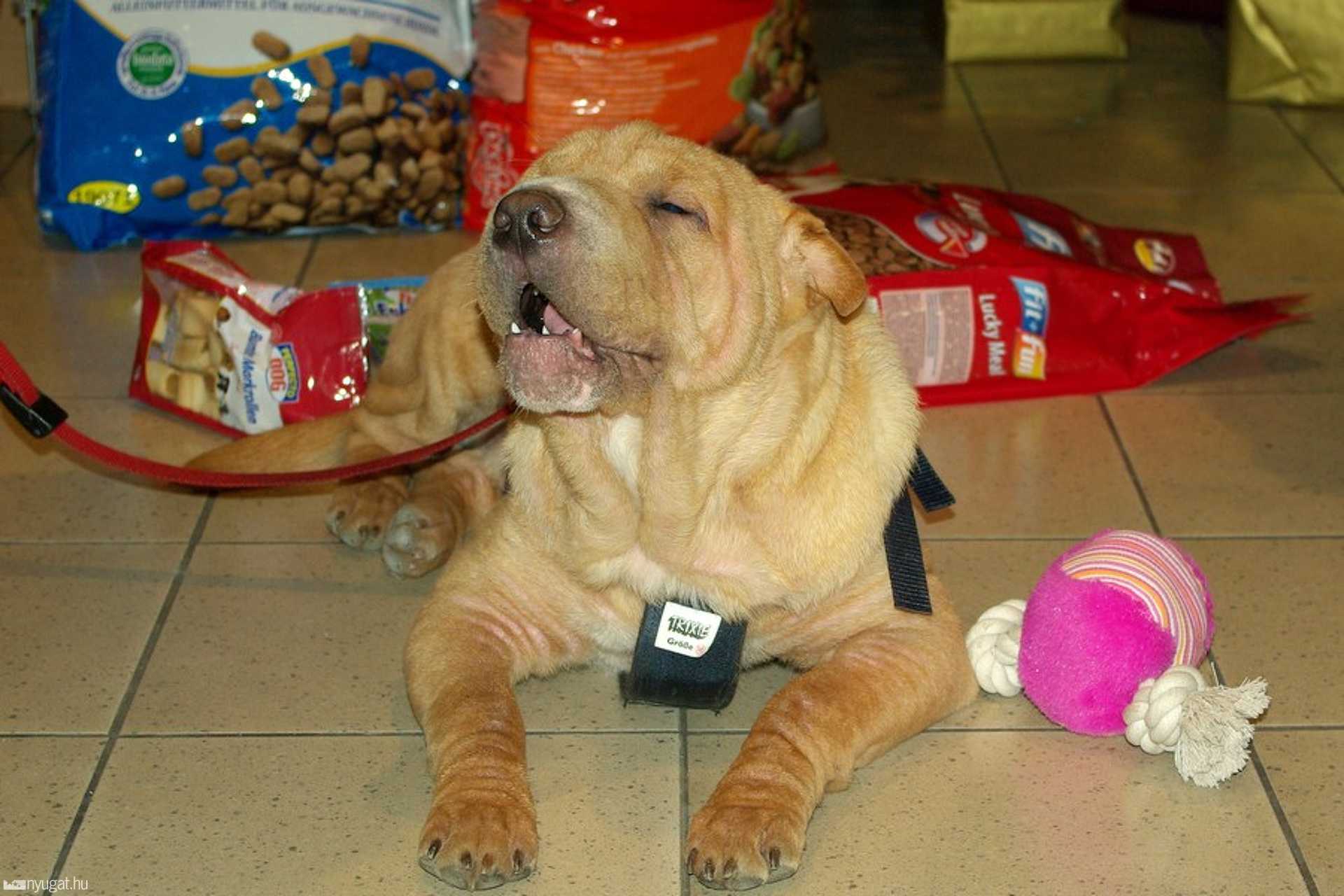 Boldog karácsonyt, köszi az ajándékokat.