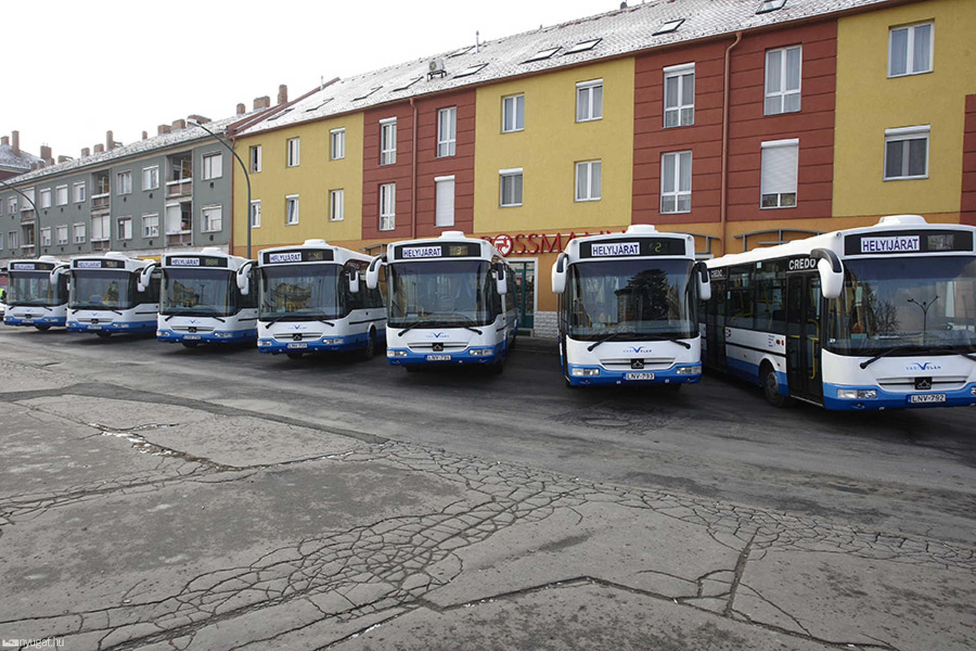 Hét új Credo busz Szombathelyen
