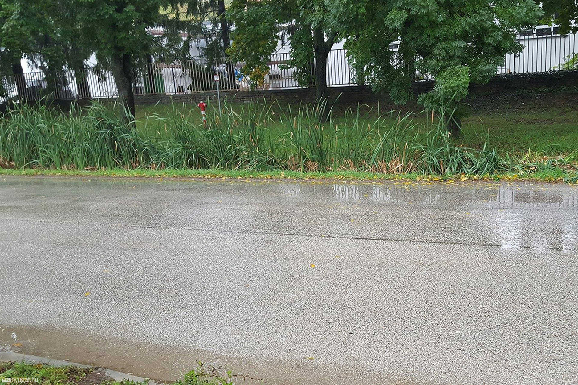 Áldatlan állapotok az Erdei iskola úton