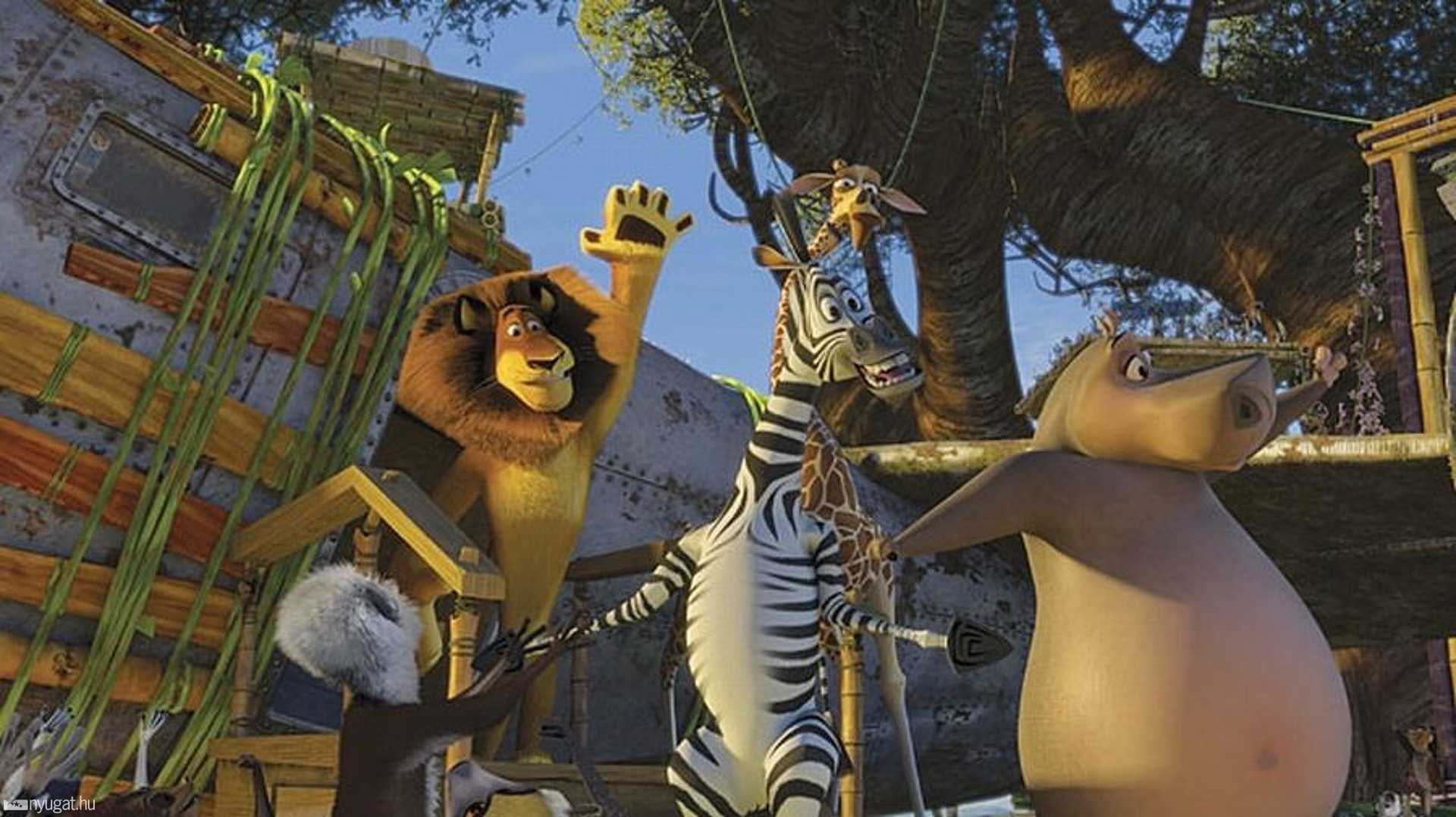 Beszállás, irány Afrika!