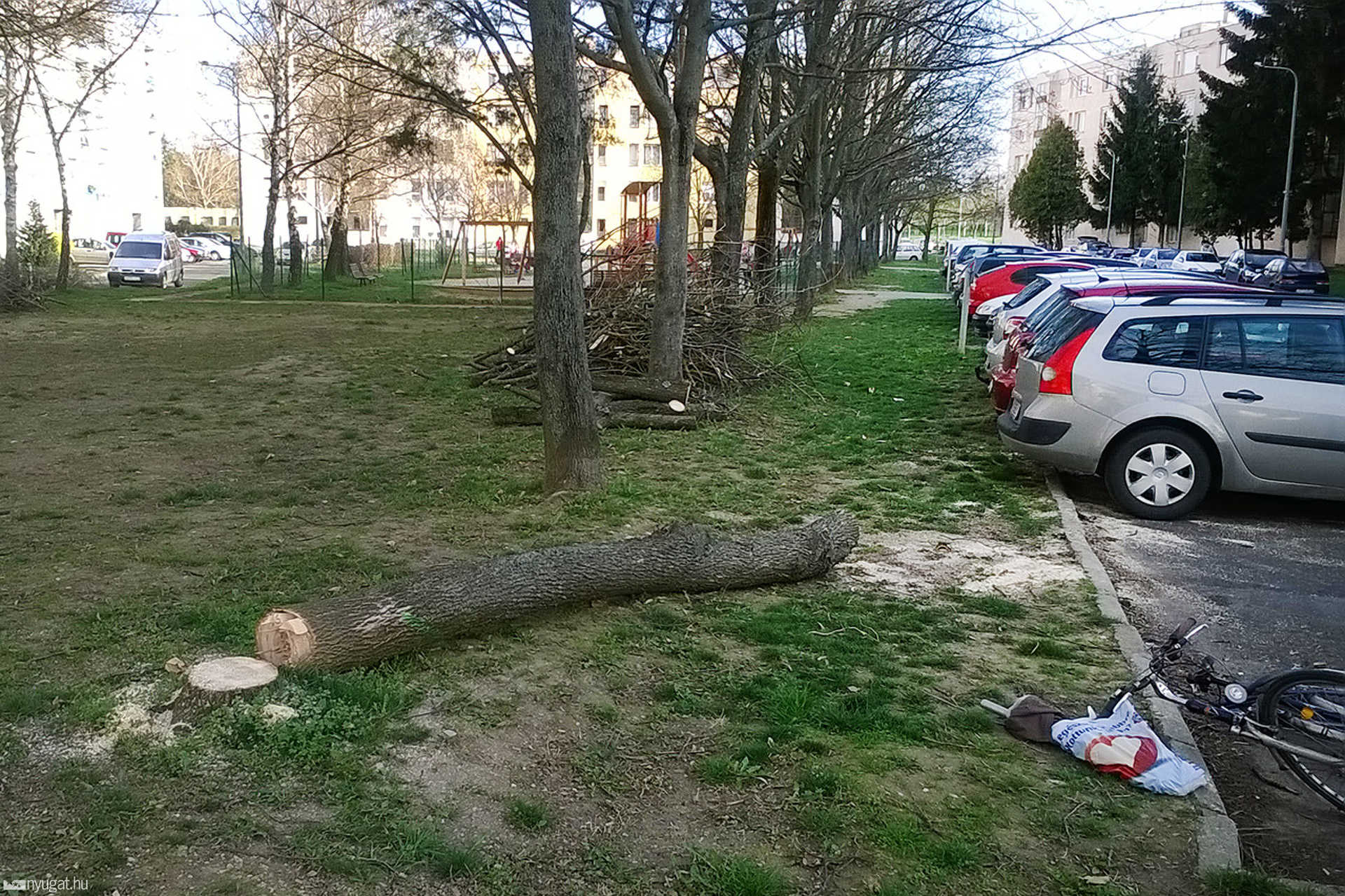 Fakivágás a Derkovits-lakótelepen