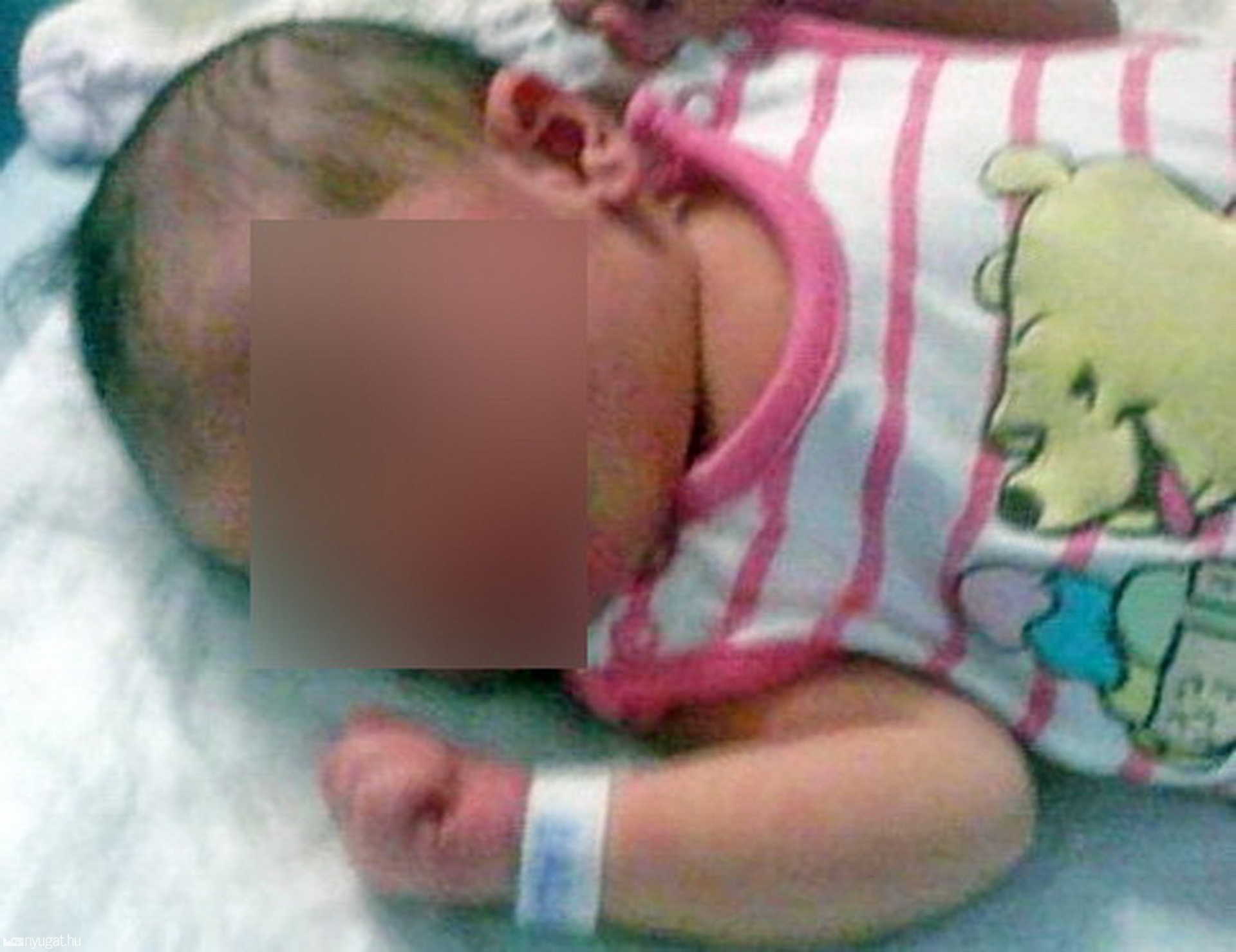 A kis Hédiről tegnap délben egy rokona készített képet és áradozott róla a Facebookon