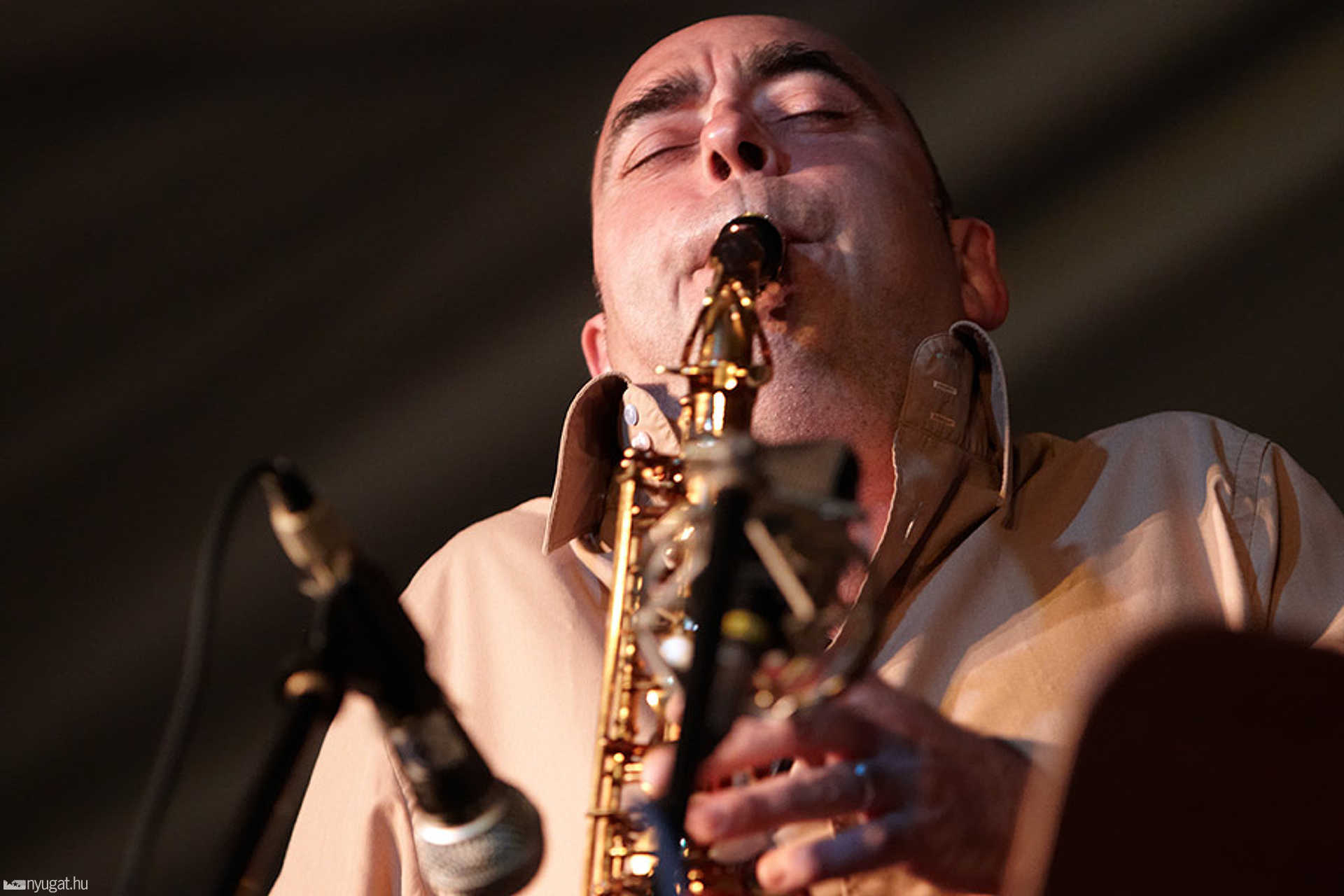 Ozone SM Trio