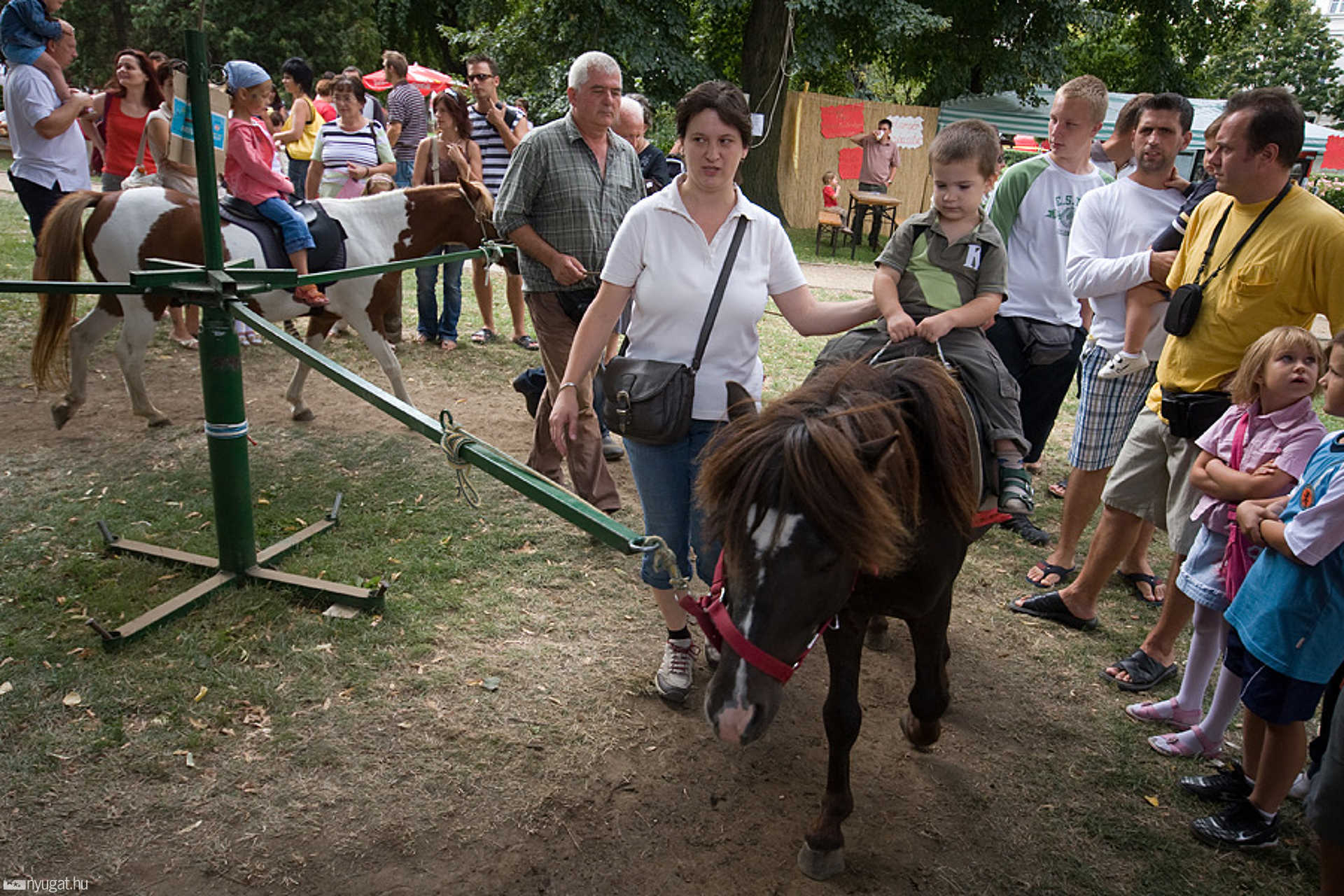 Szombat délelőtt a Kalandvárban