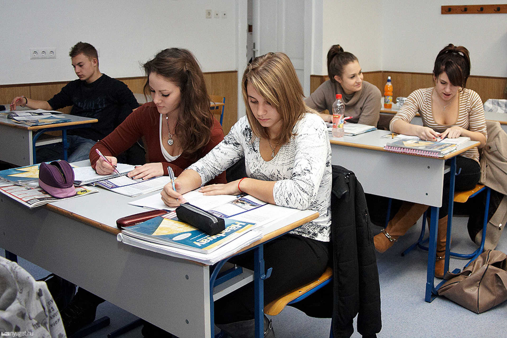 NLG összevonás után