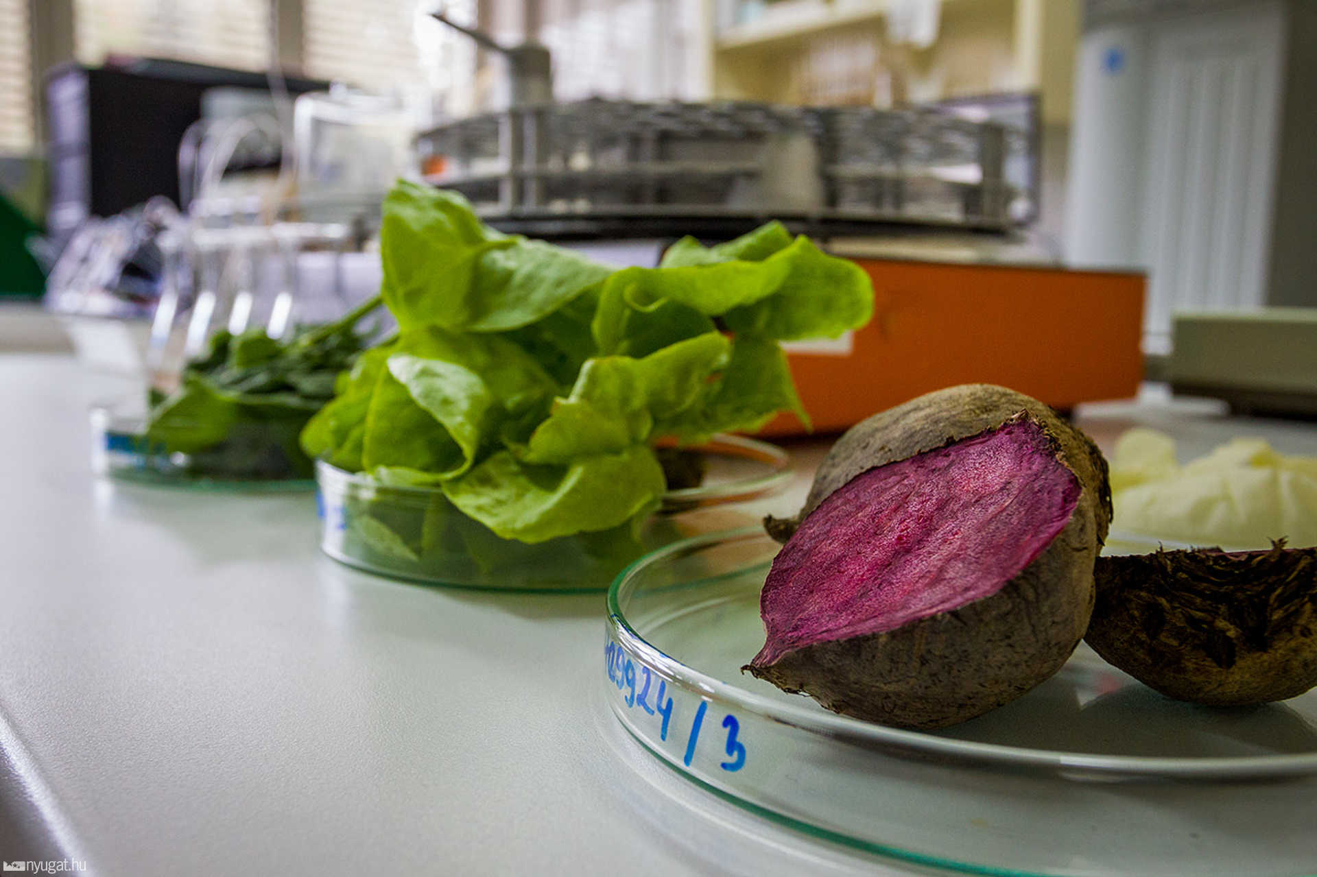 Tanakajdi Talajvédelmi Laboratórium