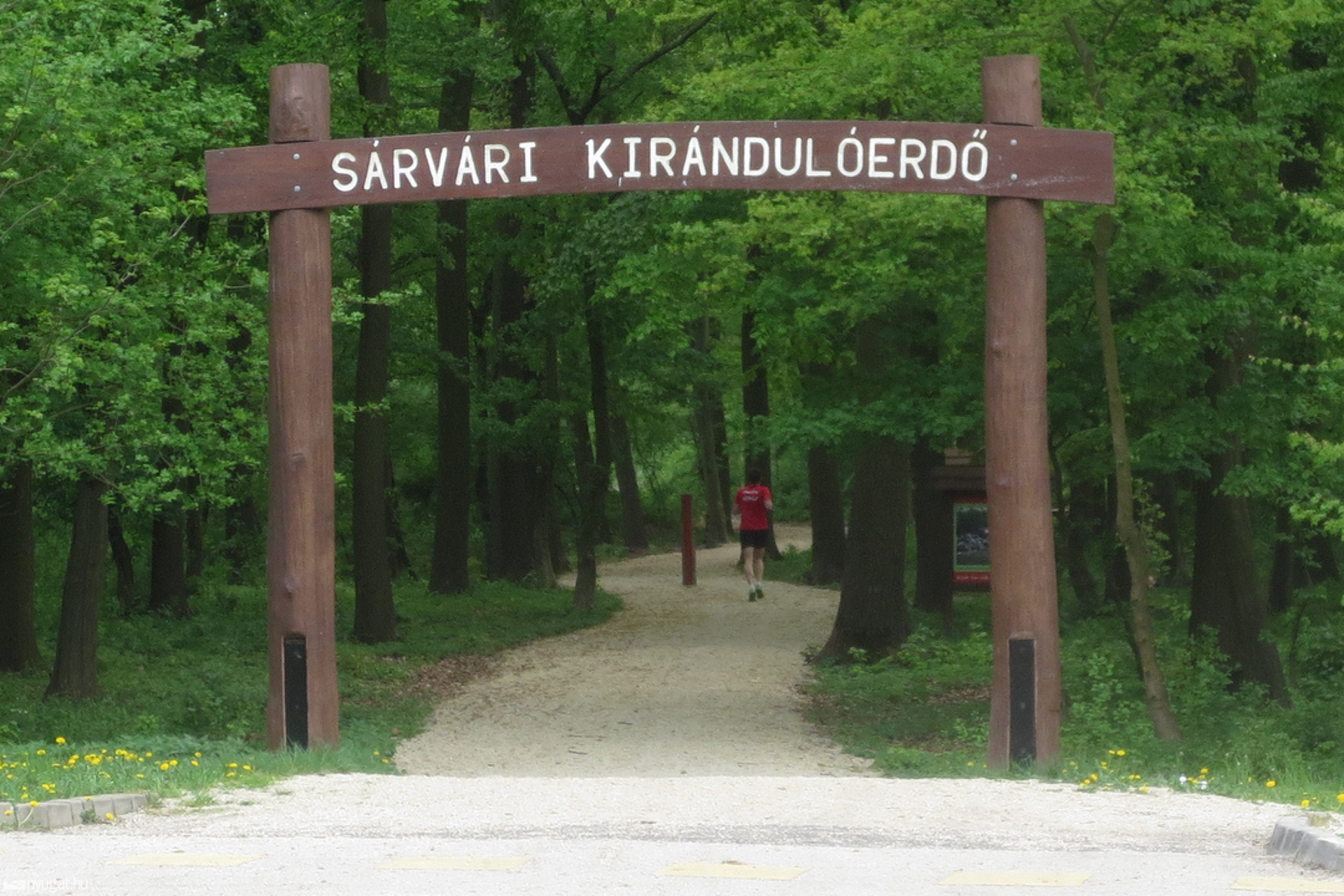 Sárvári Kirándulóerdő